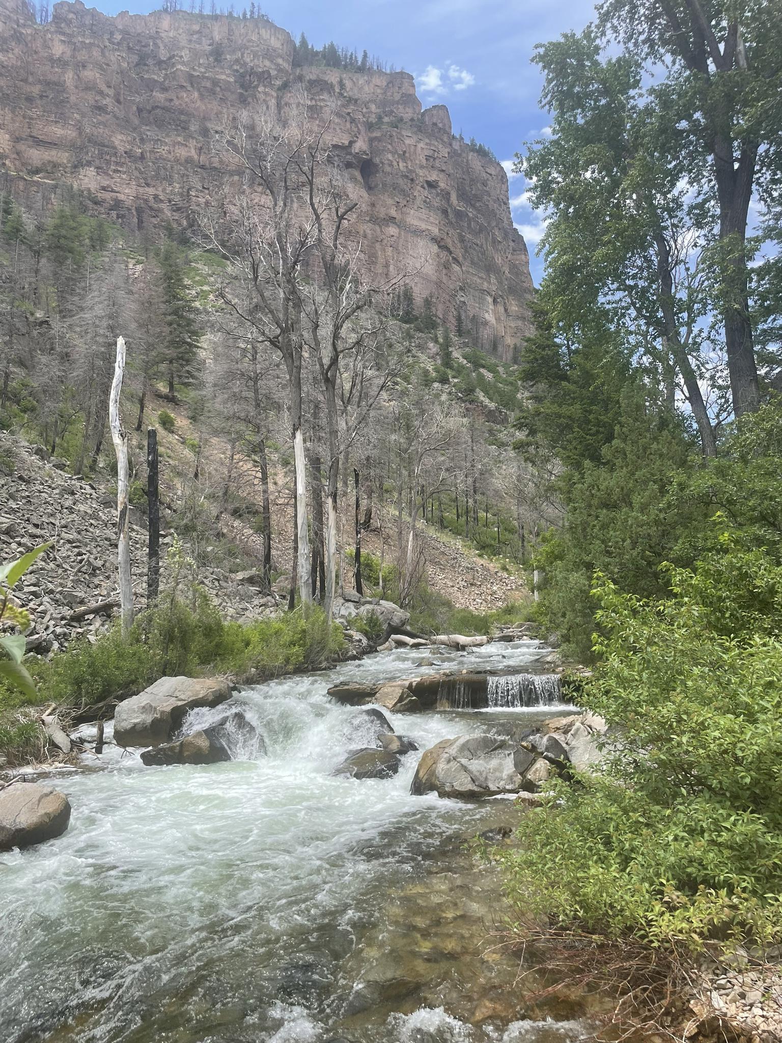 Rushing river with small waterfalls, rocky cliffs, and burnt trees.
