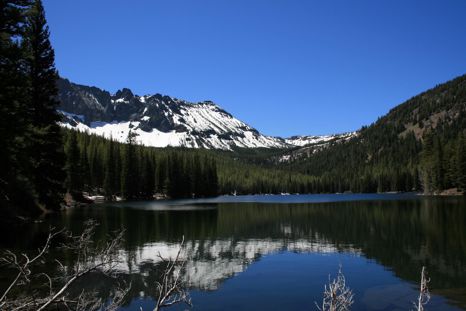 Calm lake reflecting snow-capped mountains and a dense forest under blue sky.