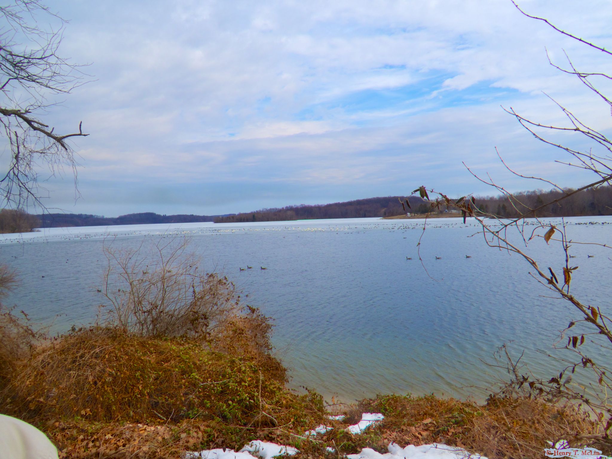 Wide shot of a partially frozen lake with ducks, framed by bare branches. - Gettysburg to Codorus State Park via 9-11 Trail