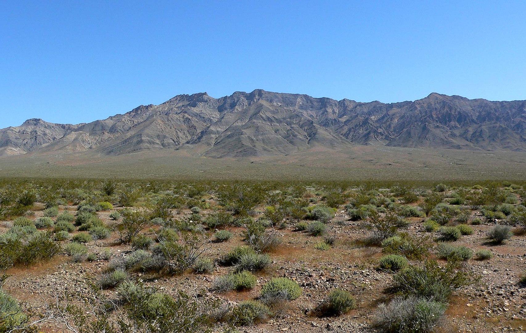 Sunny desert landscape with sparse shrubs, rocky ground, and distant mountains.