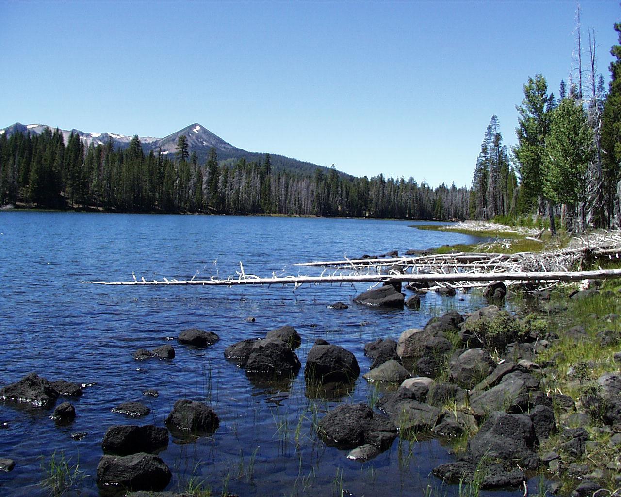 Clear blue lake, rocky shore, fallen logs, pine forest, and distant mountain.
