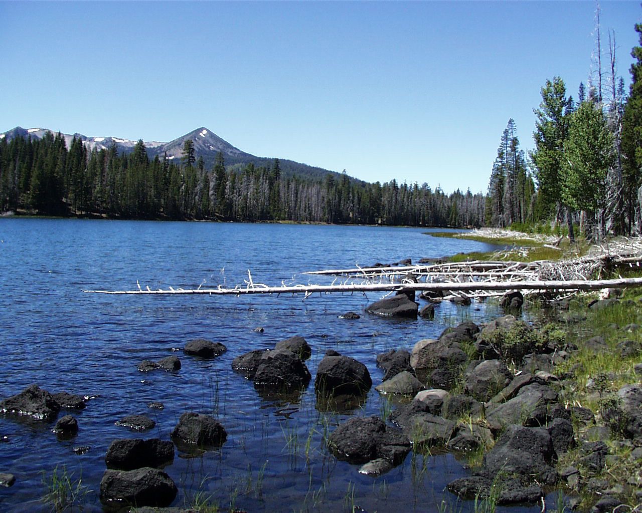 Clear blue lake, rocky shore, fallen logs, pine forest, and distant mountain. - Eiler Lake Loop