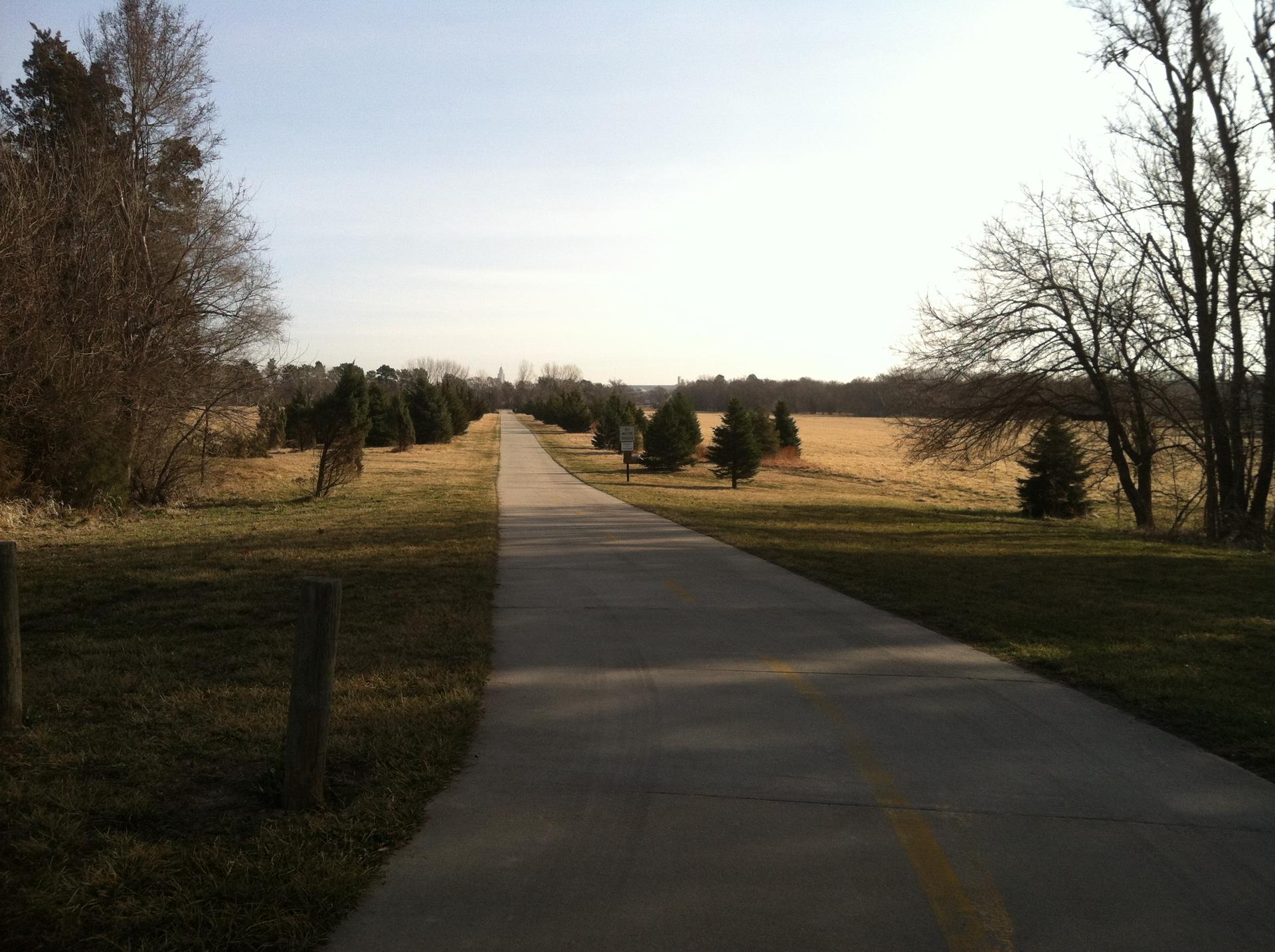 Paved path through grassy fields with trees under natural light.