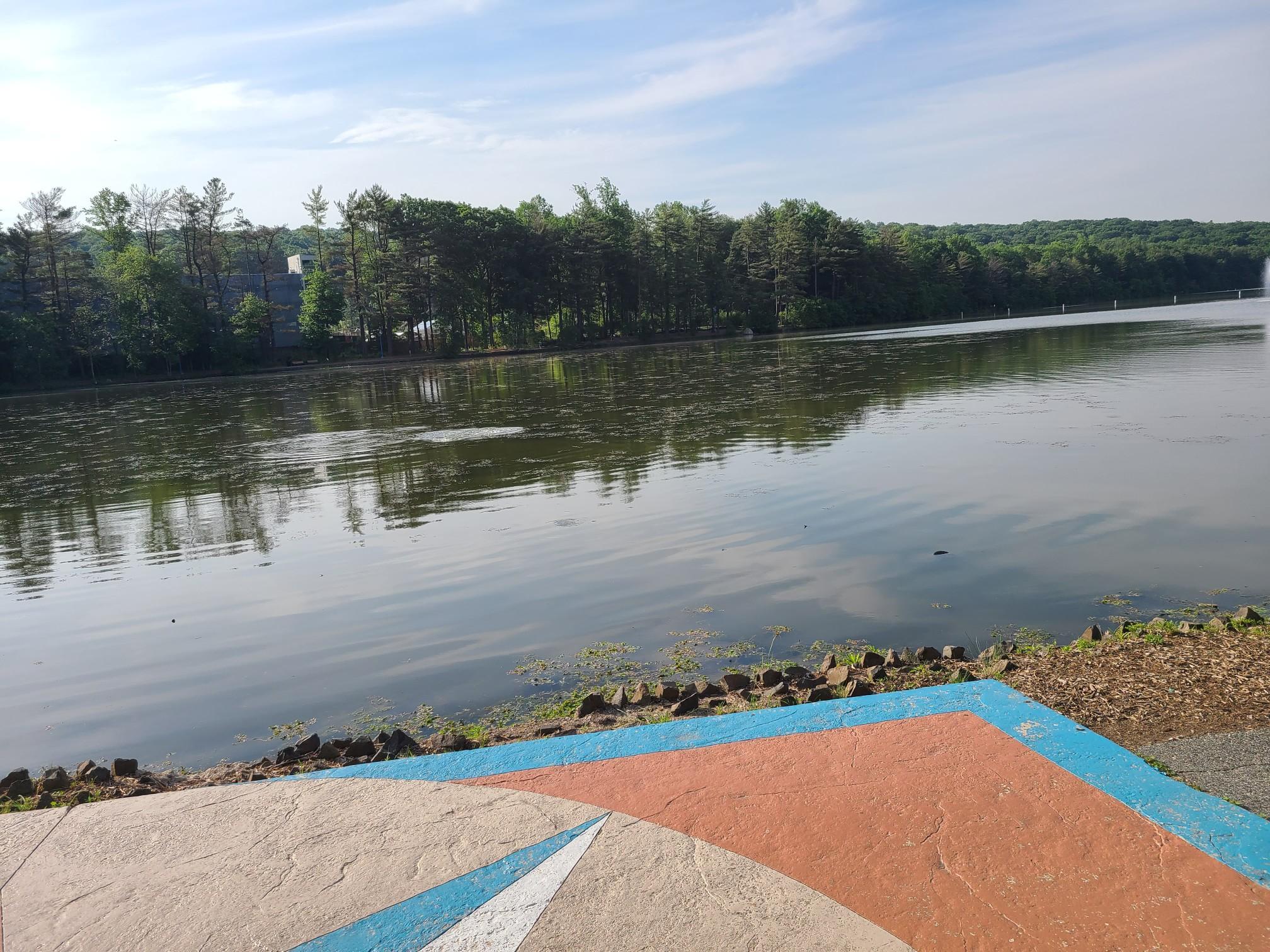Calm lake reflecting sky, with a colorful patterned concrete foreground.