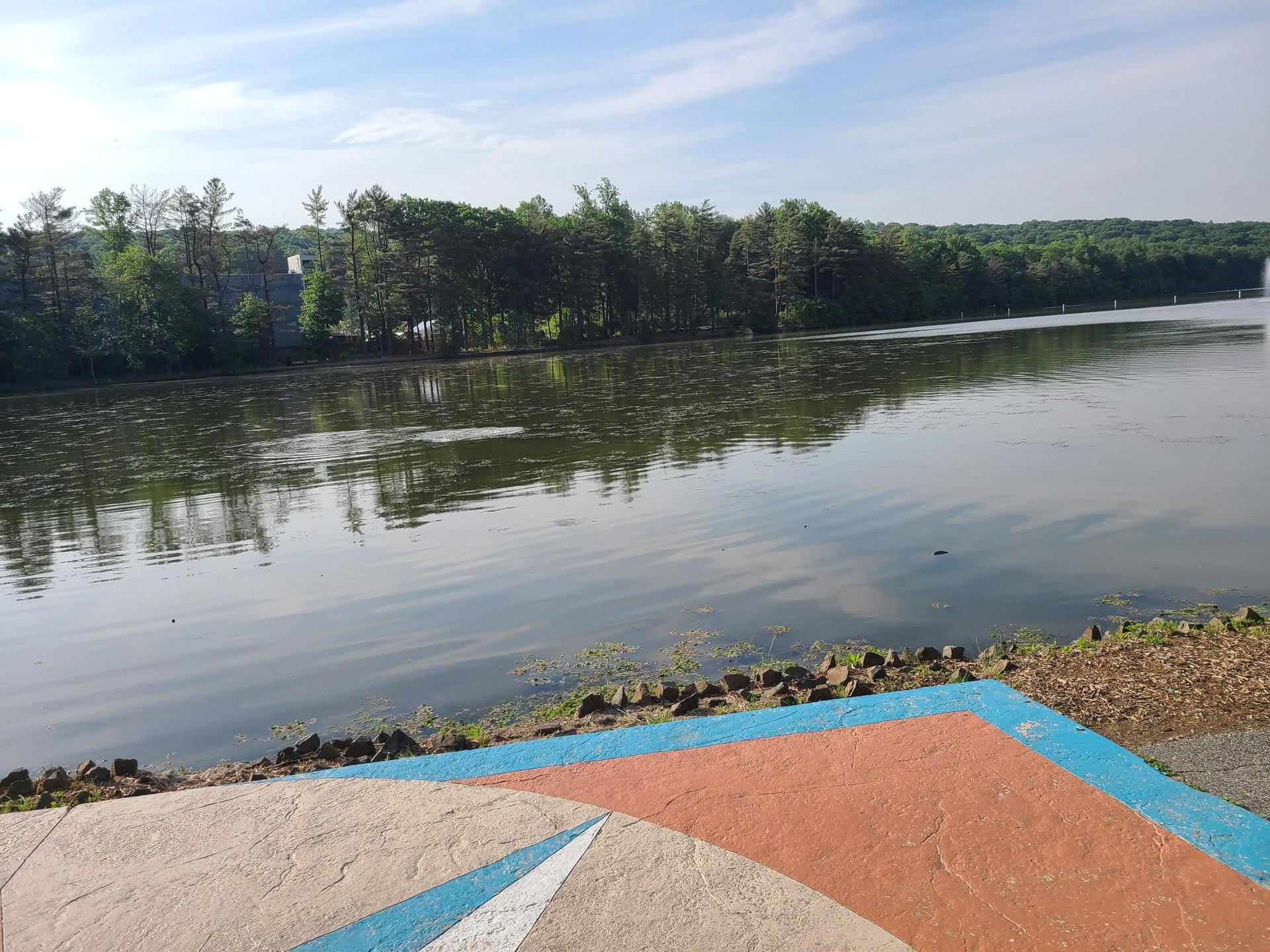Calm lake reflecting sky, with a colorful patterned concrete foreground.