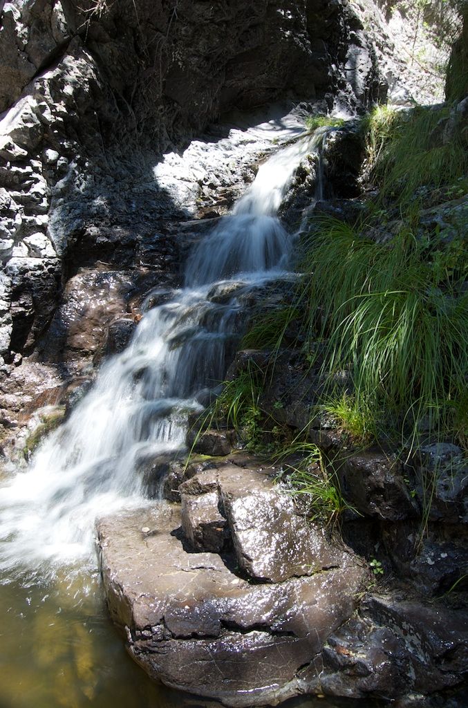 Waterfall cascades over dark rocks into a pool, surrounded by green foliage. - Continental Divide Trail: Gila River Alternate