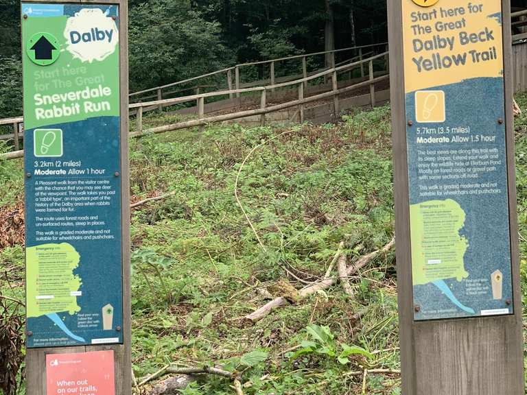 High Ropes Courses Routes for Walking and Hiking | Komoot