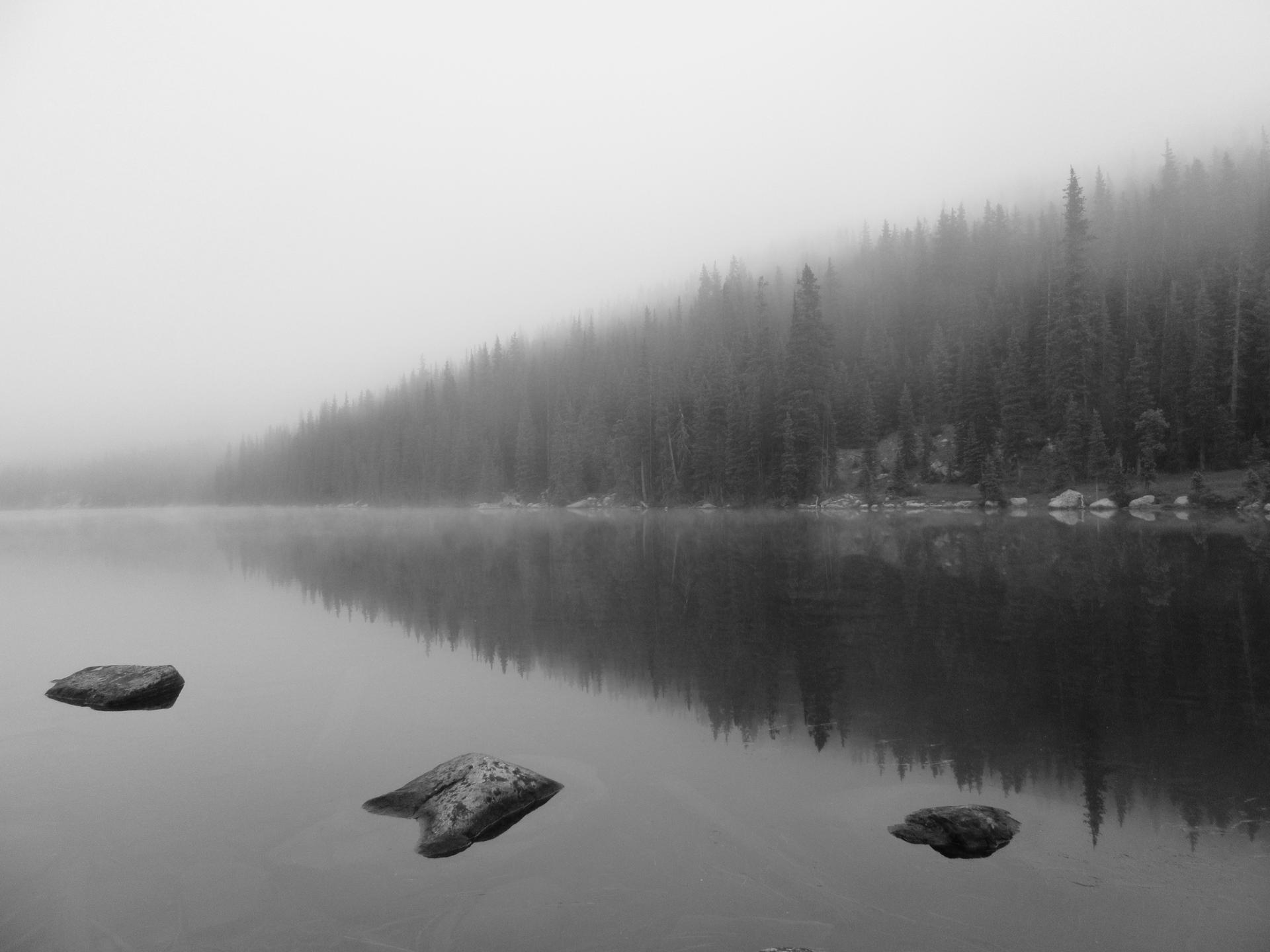 Black and white misty lake with rocks and a foggy pine forest.