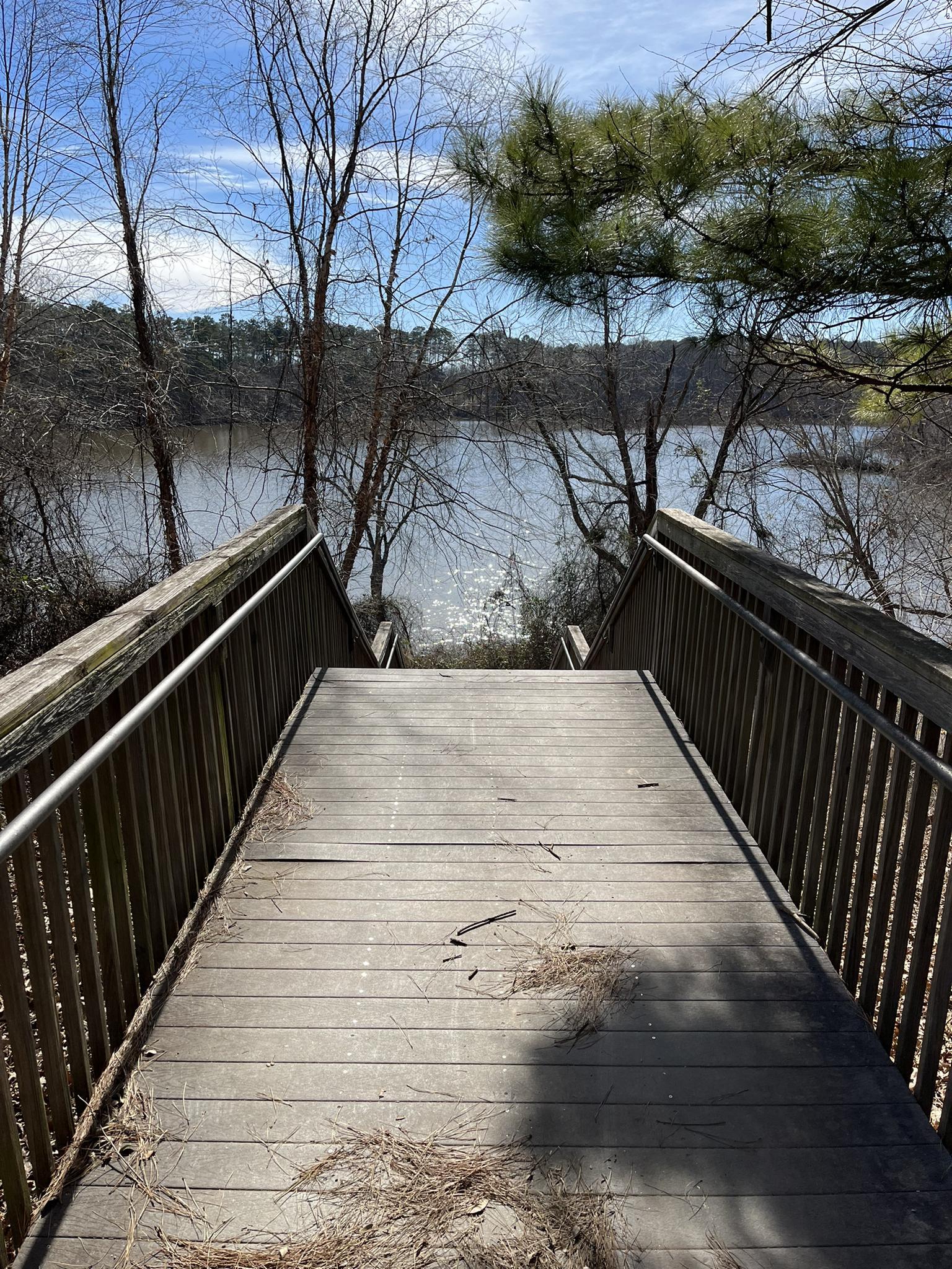 Wooden stairs descend towards a sparkling lake surrounded by bare trees.