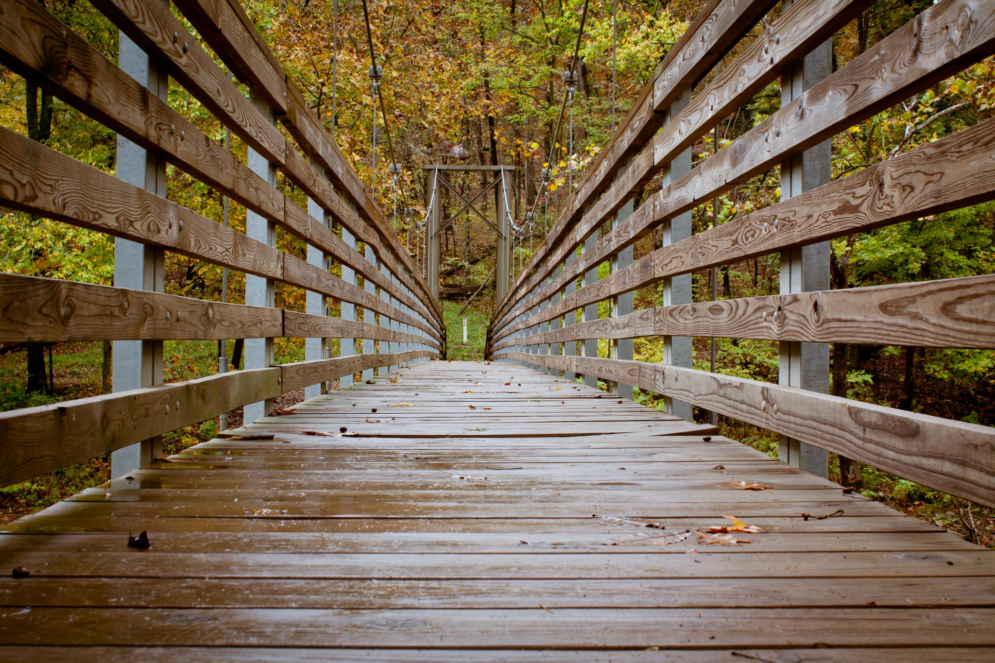 Wooden suspension bridge through an autumn forest on an overcast day.