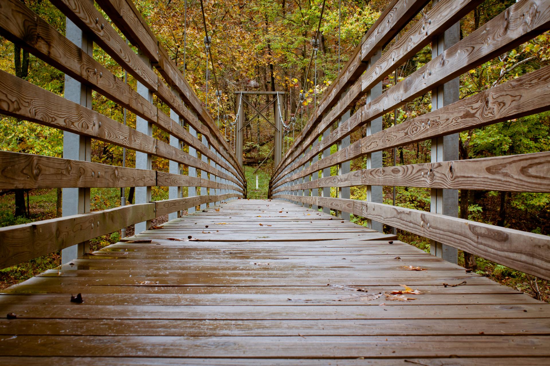 Wooden suspension bridge through an autumn forest on an overcast day.