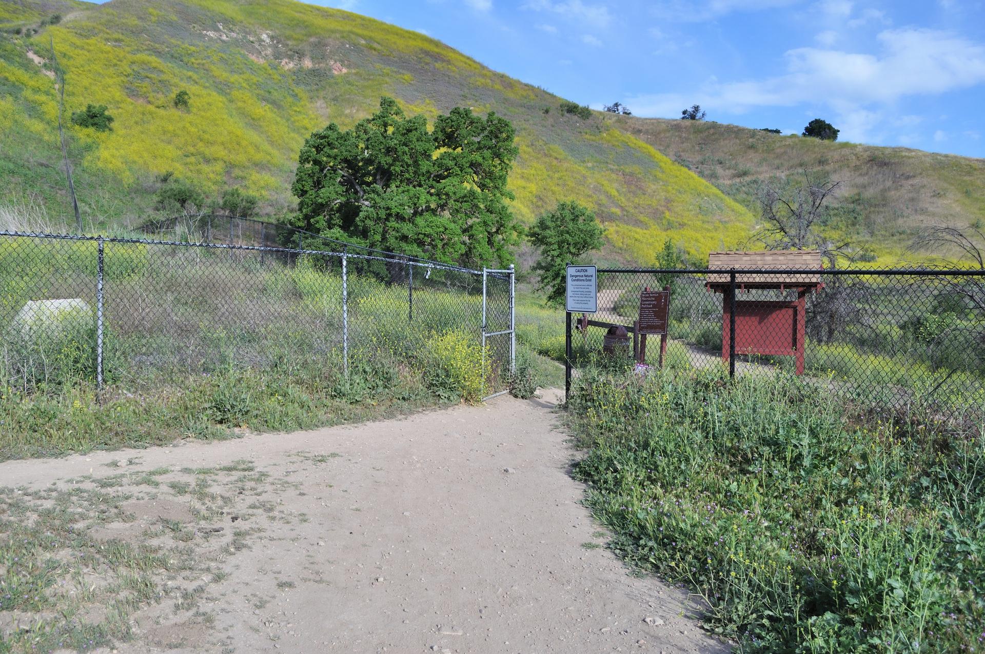 A dirt path leads to a fenced entrance beside a yellow-flowered hill.