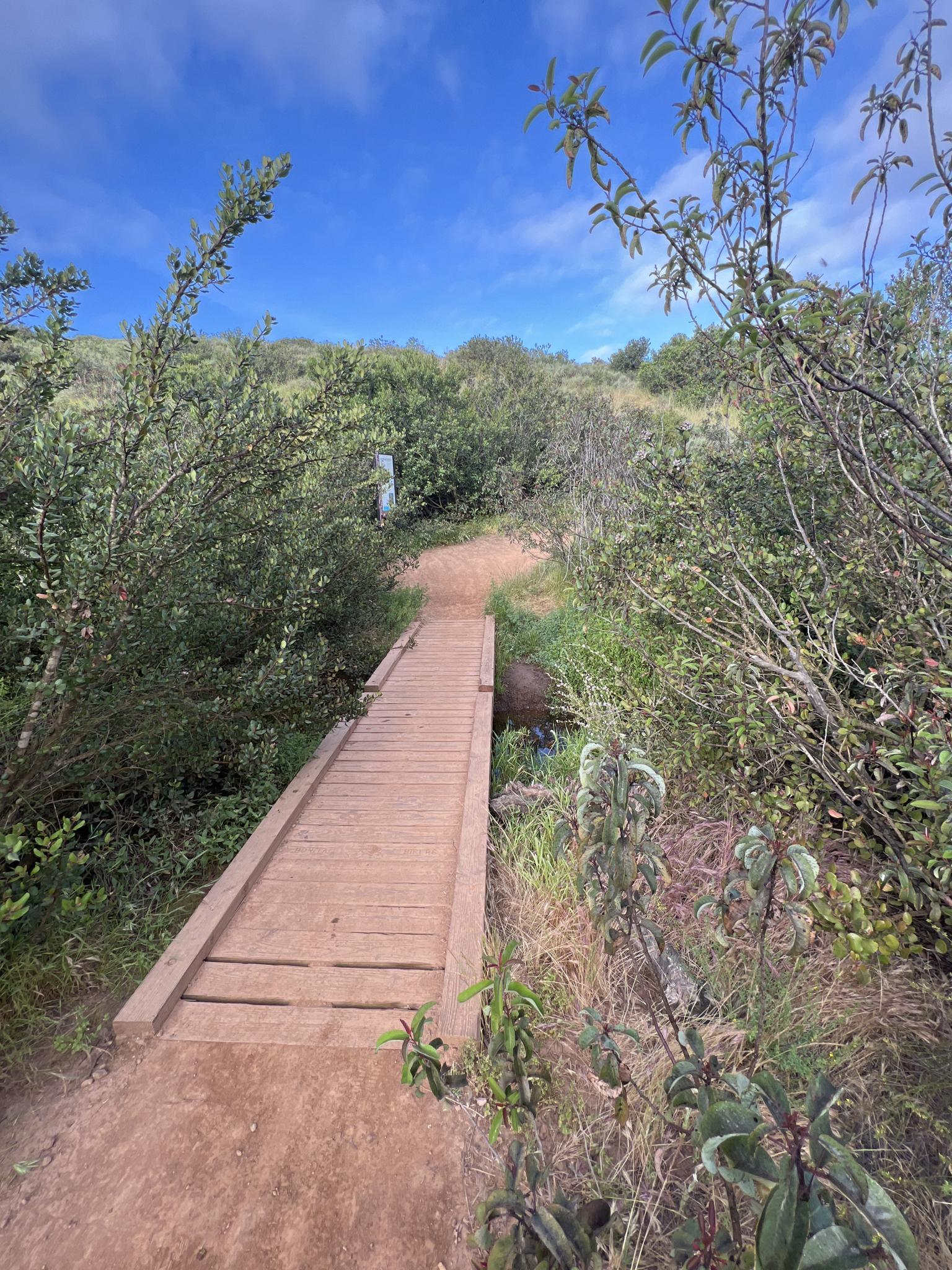 A wooden boardwalk on a dirt path through green hills under a clear sky.