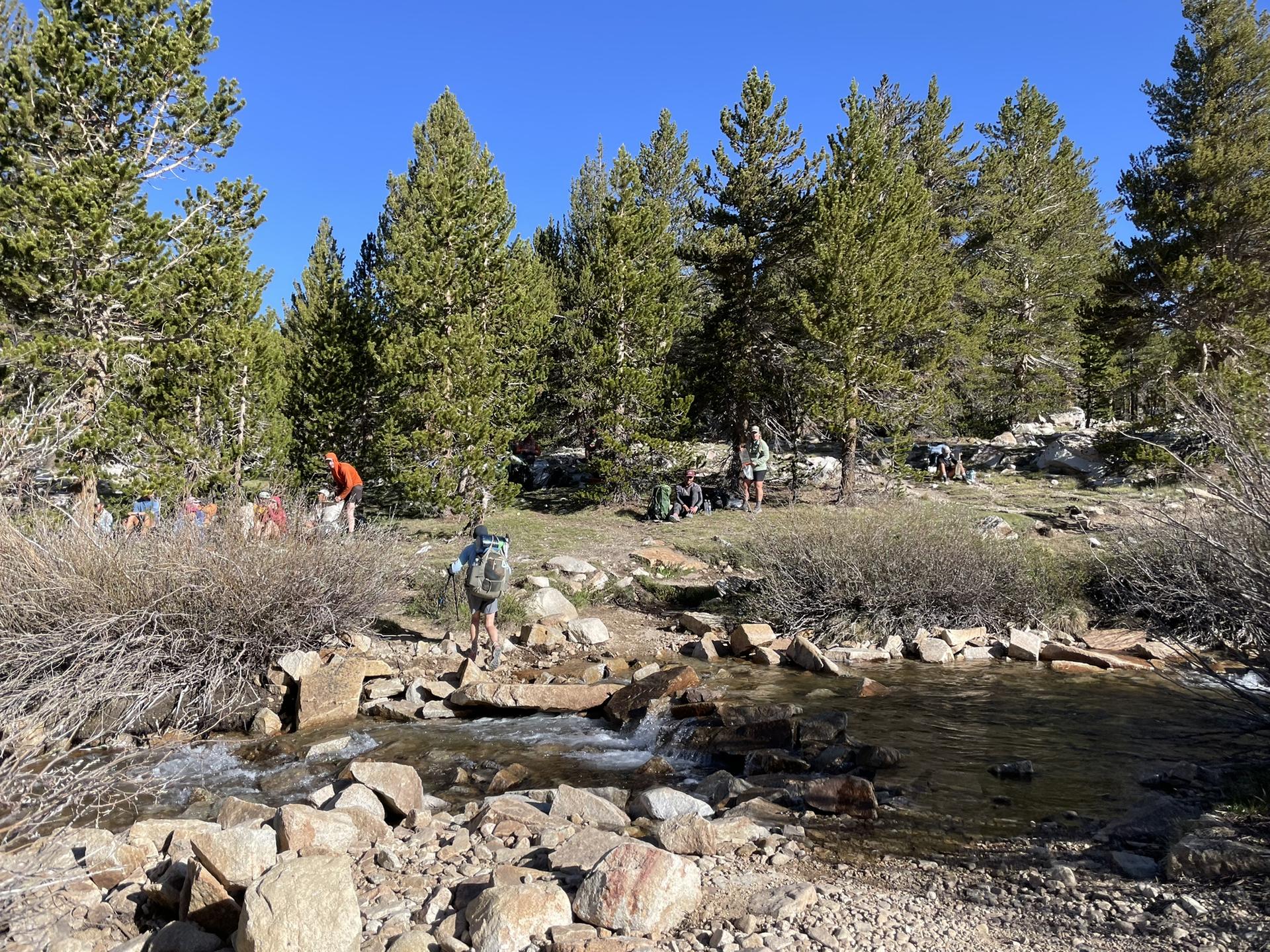 Hikers with backpacks gather near a rocky stream crossing in a sunny forest.