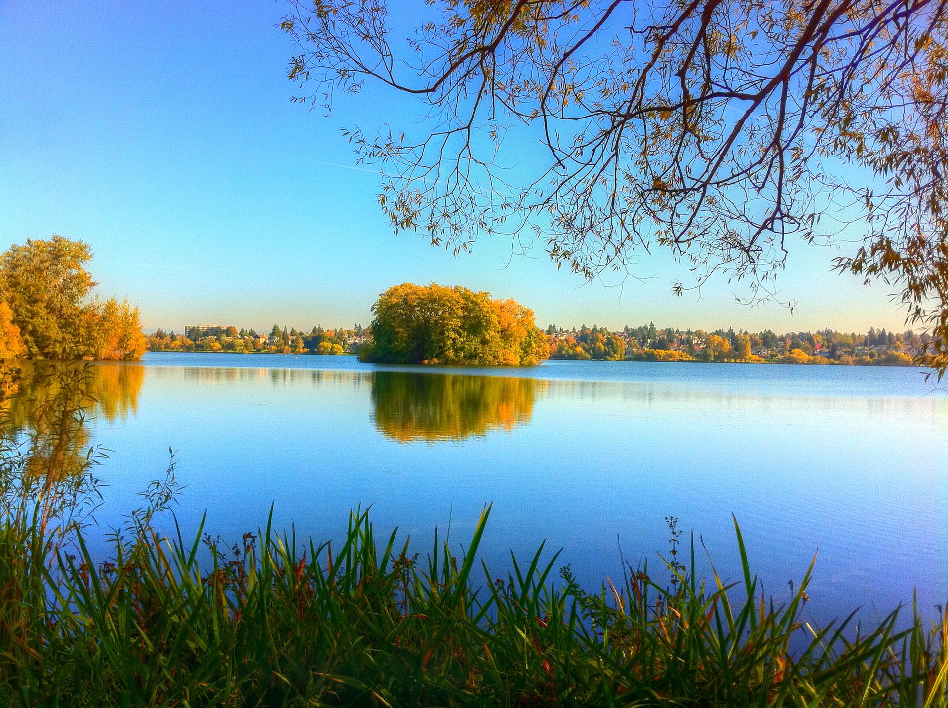 Vibrant lake with a tree-covered island reflecting under a clear blue sky.