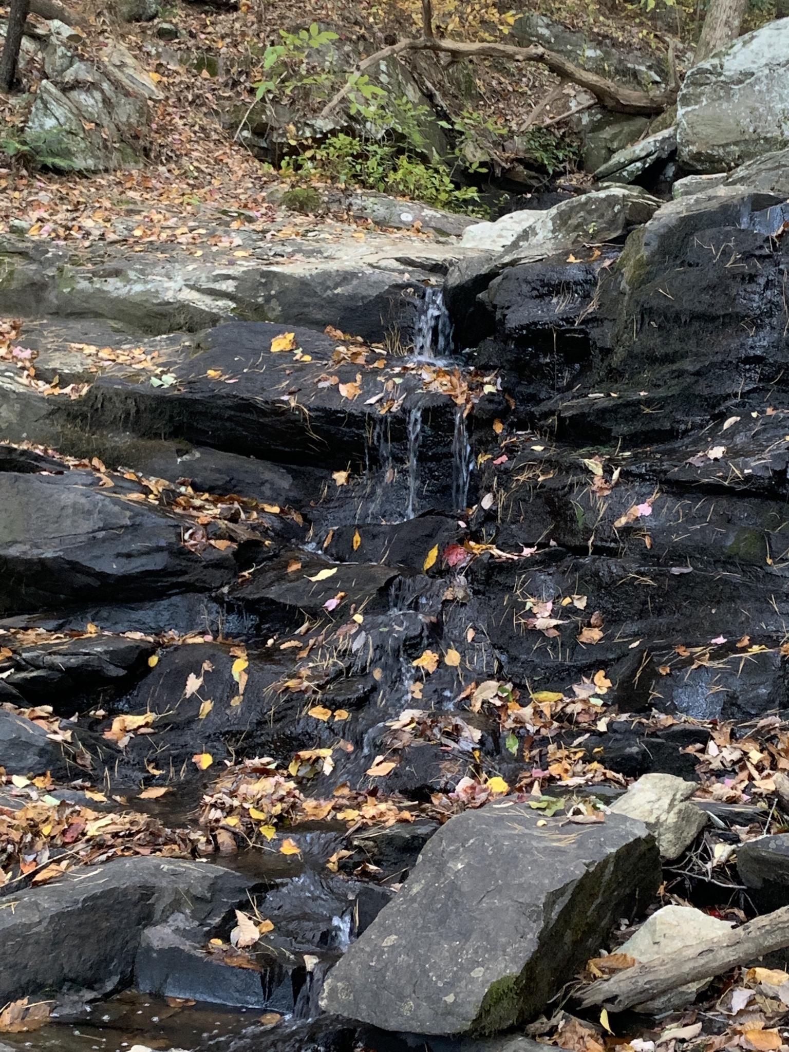 A small waterfall cascades over dark, mossy rocks covered with autumn leaves.