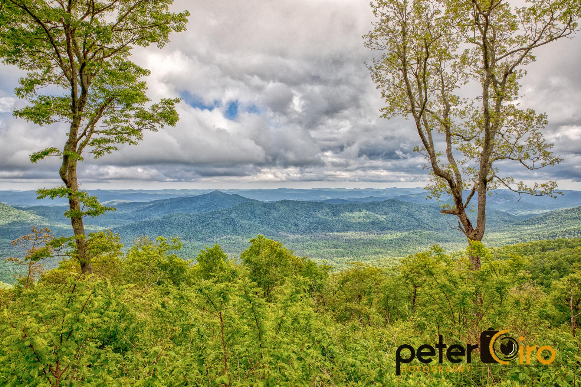 Lush green mountain landscape framed by two tall trees under cloudy skies.
