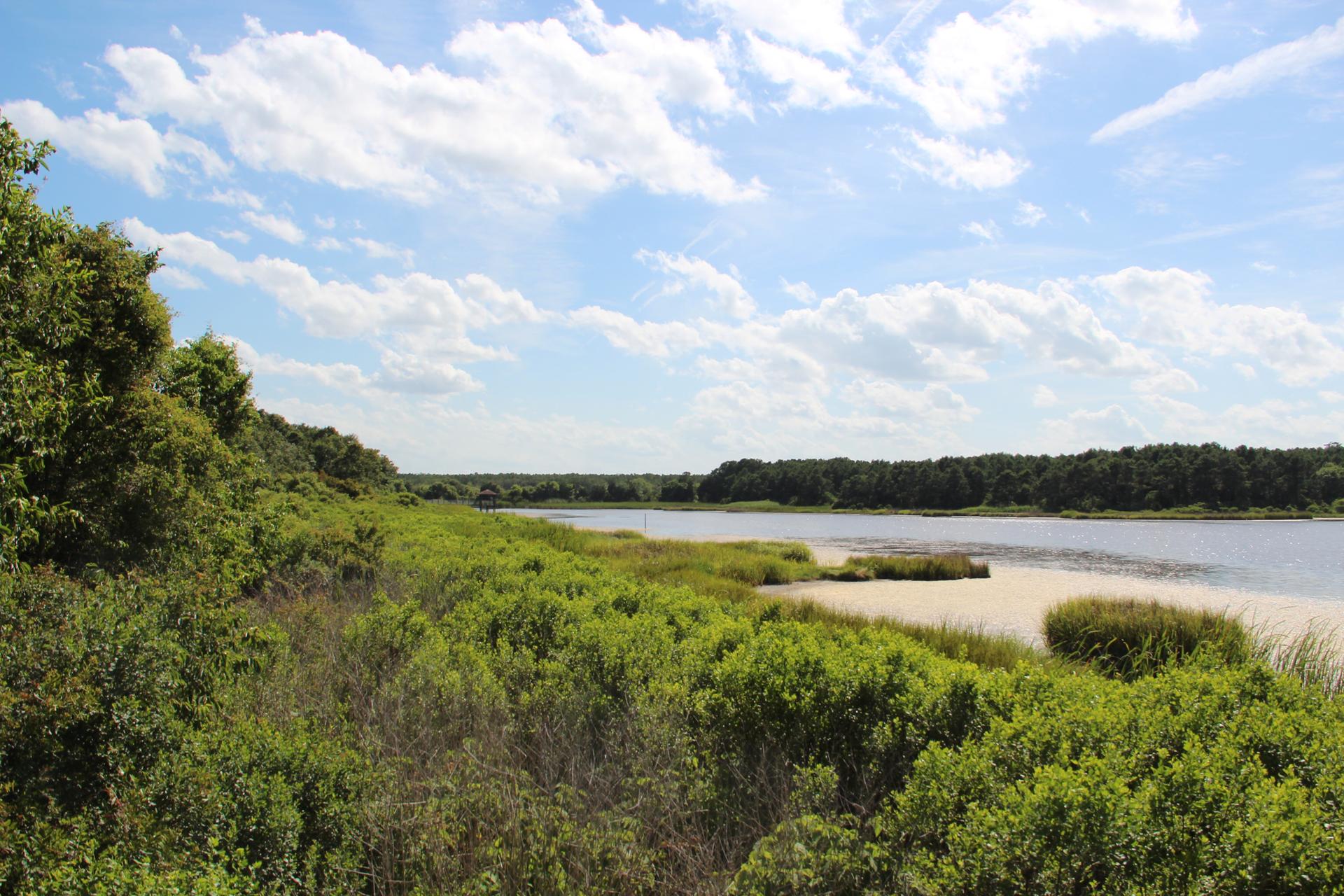 Lush green vegetation lines a wide river under a bright, cloudy sky.