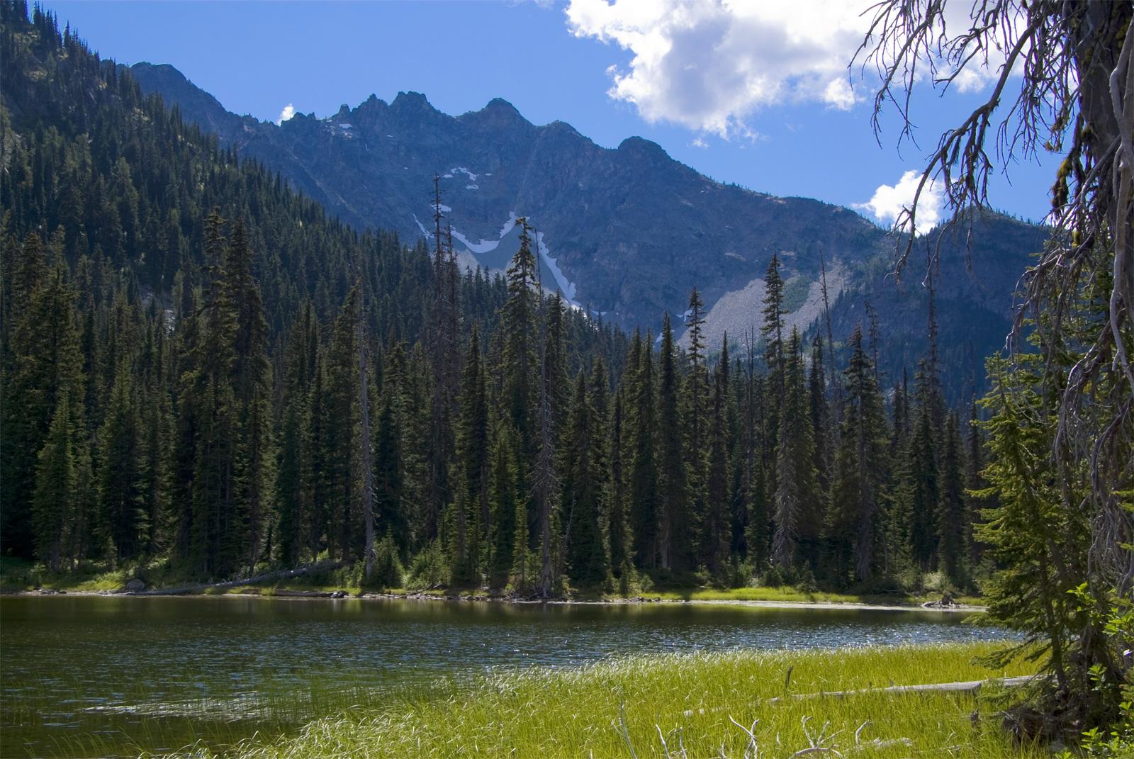 Serene mountain lake bordered by tall pines under a partly cloudy sky.