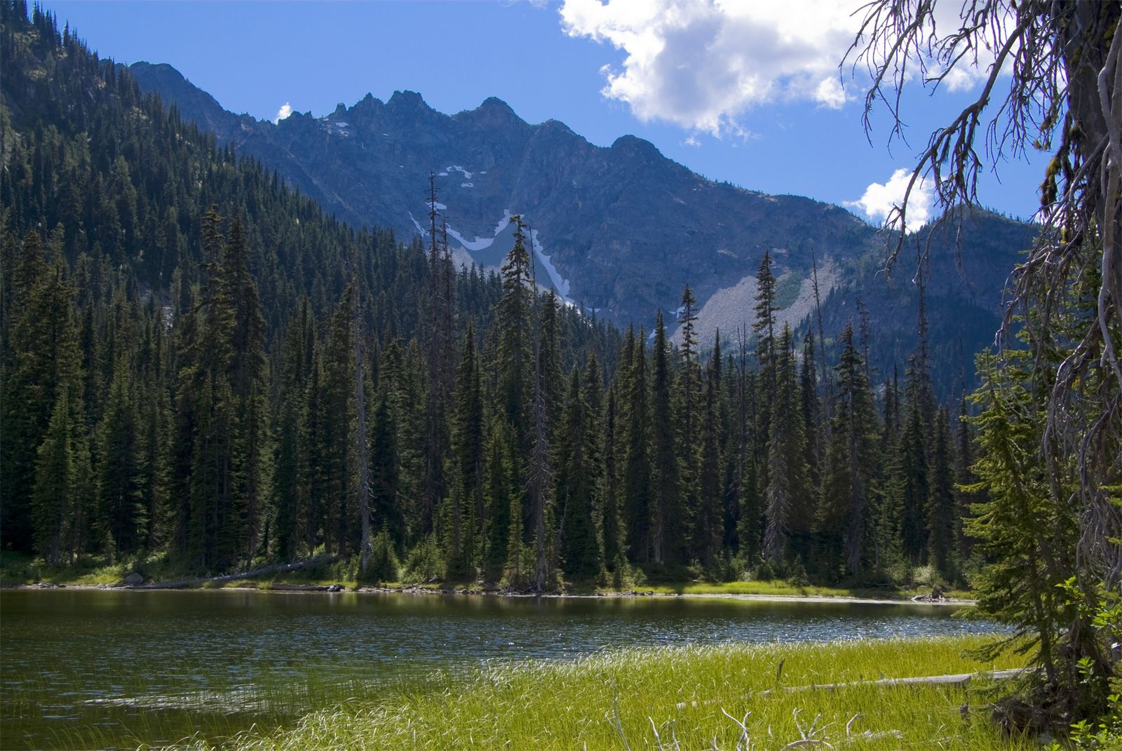 Serene mountain lake bordered by tall pines under a partly cloudy sky. - Twisp Pass Trail