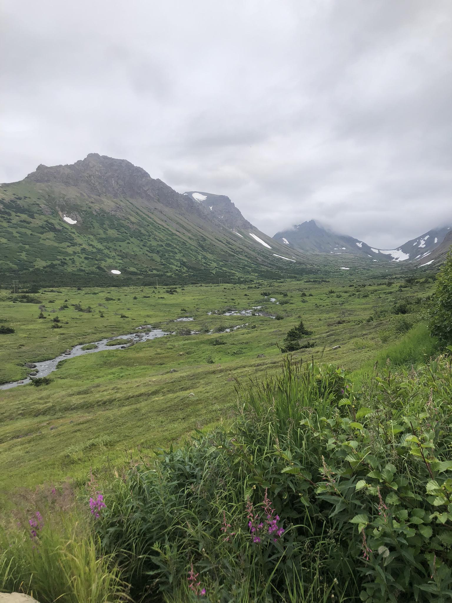 Lush green valley with a winding river and distant snow-capped mountains.