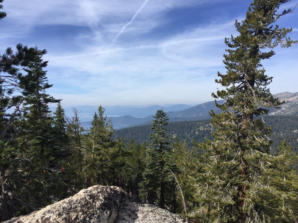 Panoramic view of distant mountains and lake framed by pine trees.