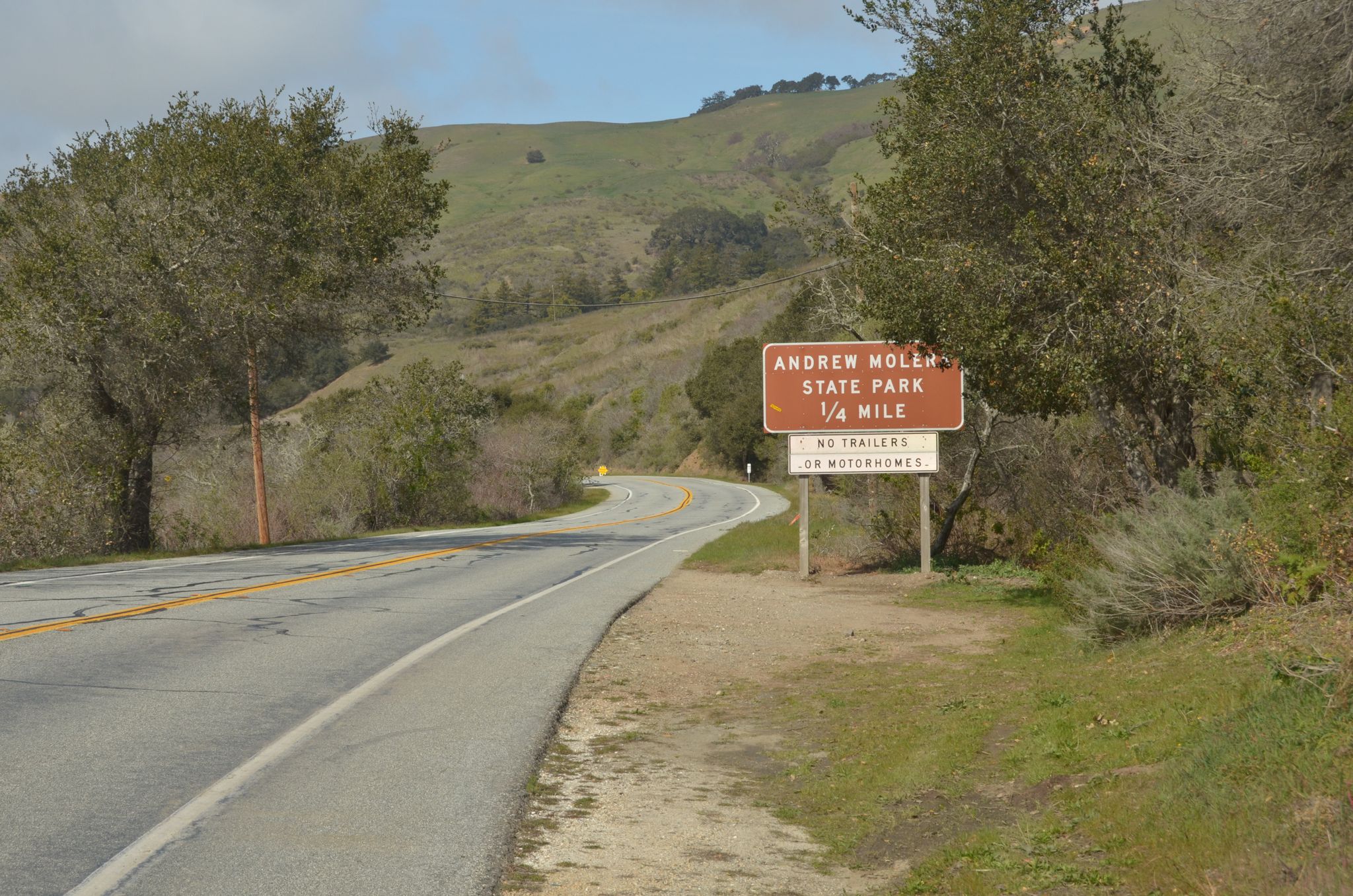 A winding road next to a brown sign, leading into green hills. - East Molera Trail