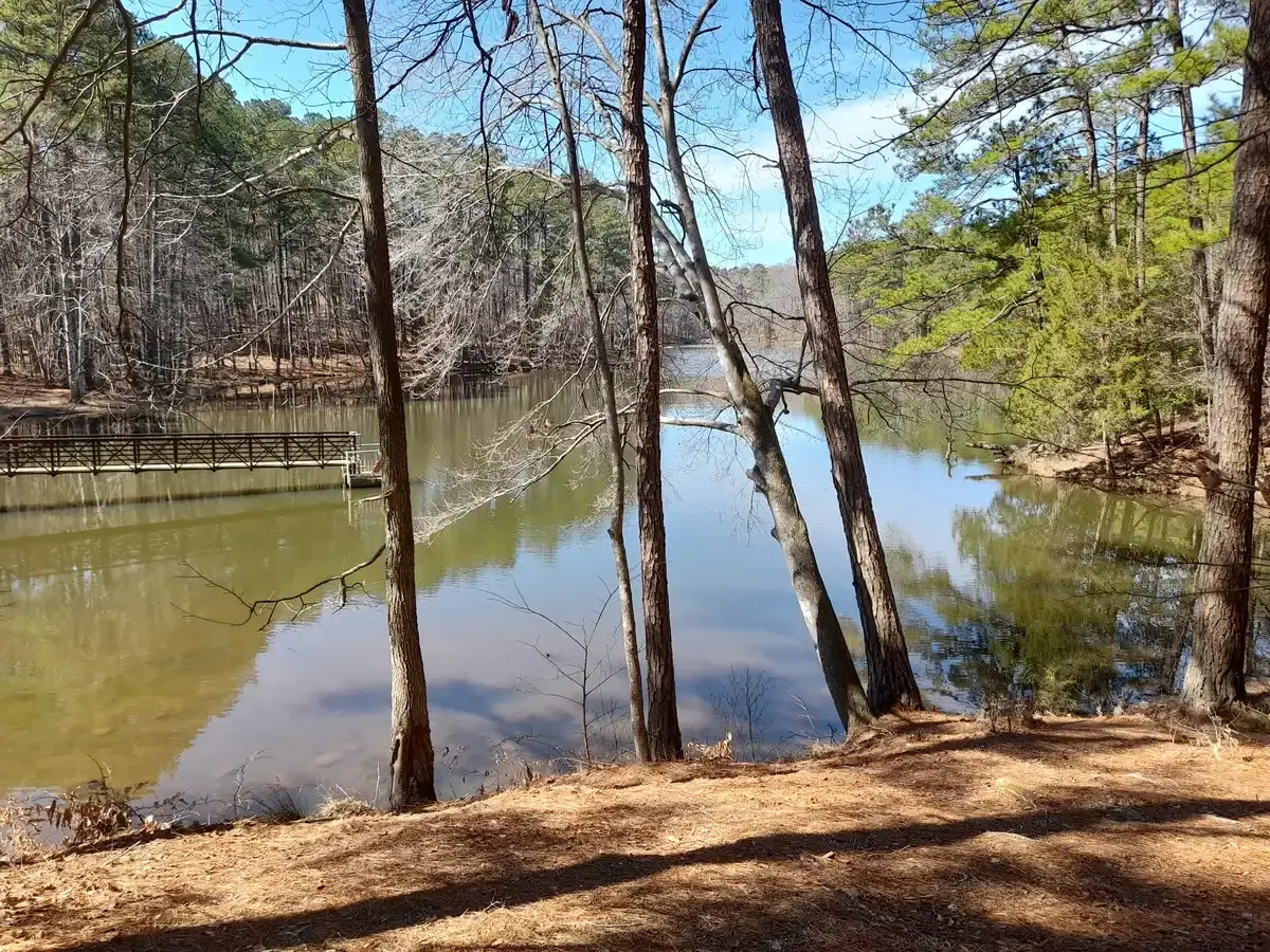 Calm lake with a wooden pier, surrounded by sunlit forest.