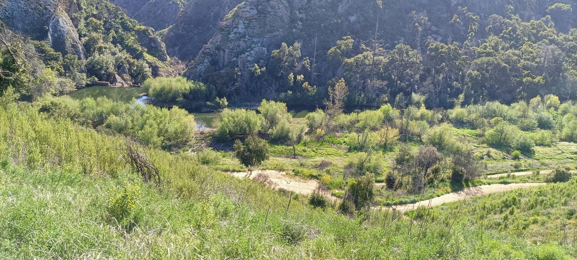 Vibrant green valley with a winding river and lush trees on a sunny day.