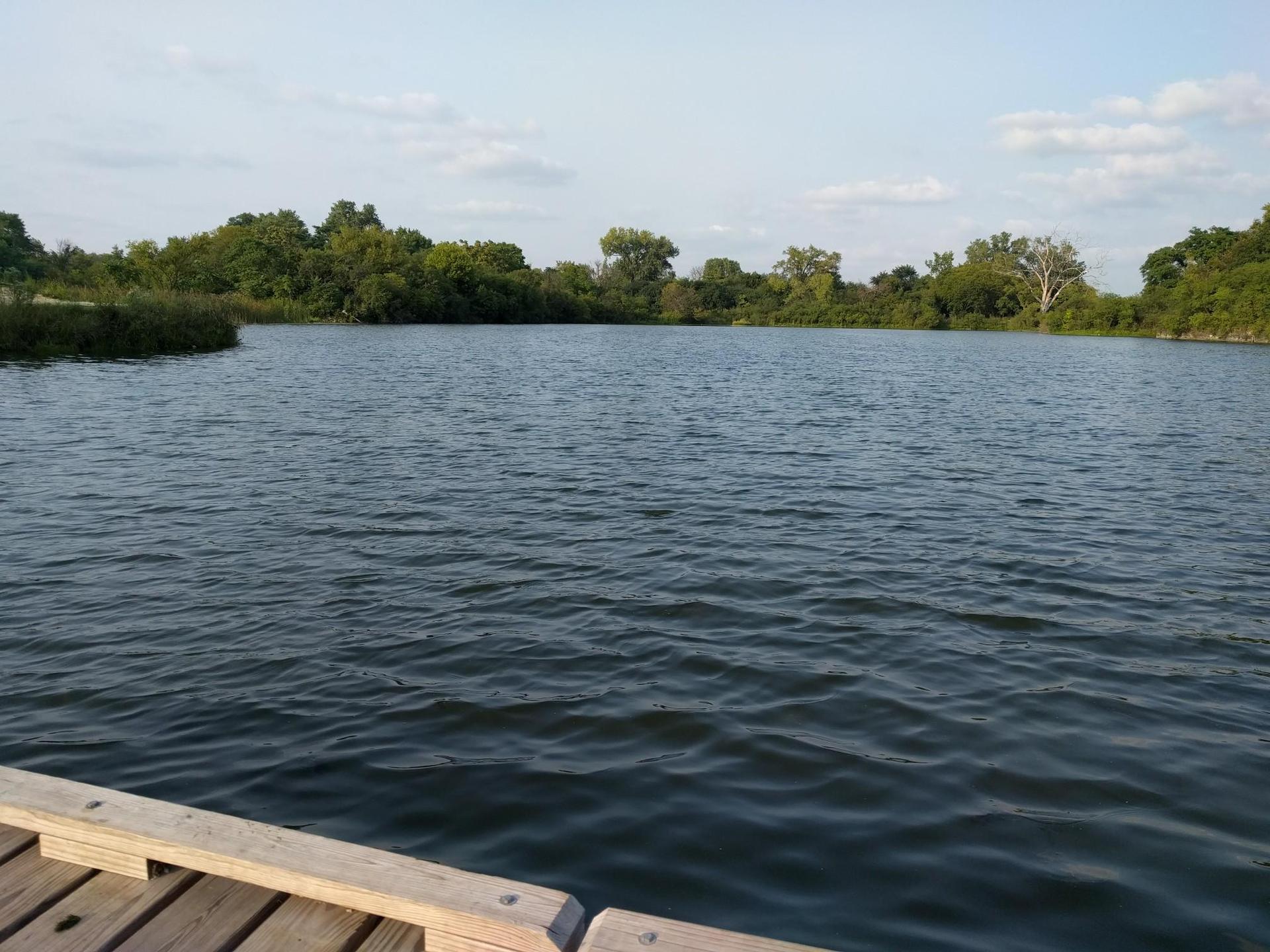A wide lake view from a wooden dock, surrounded by green trees.