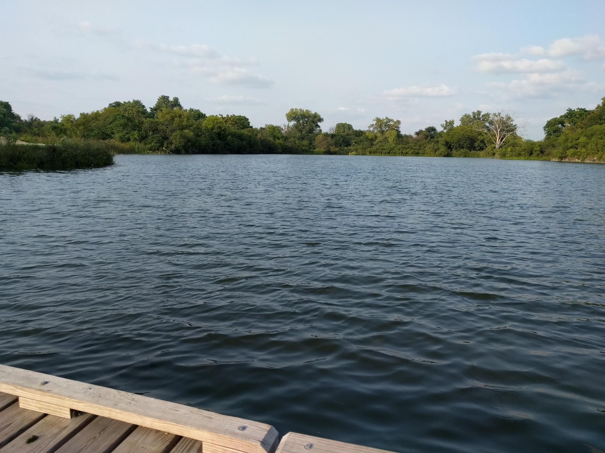 A wide lake view from a wooden dock, surrounded by green trees. - Heritage Quarries Recreation Area loop