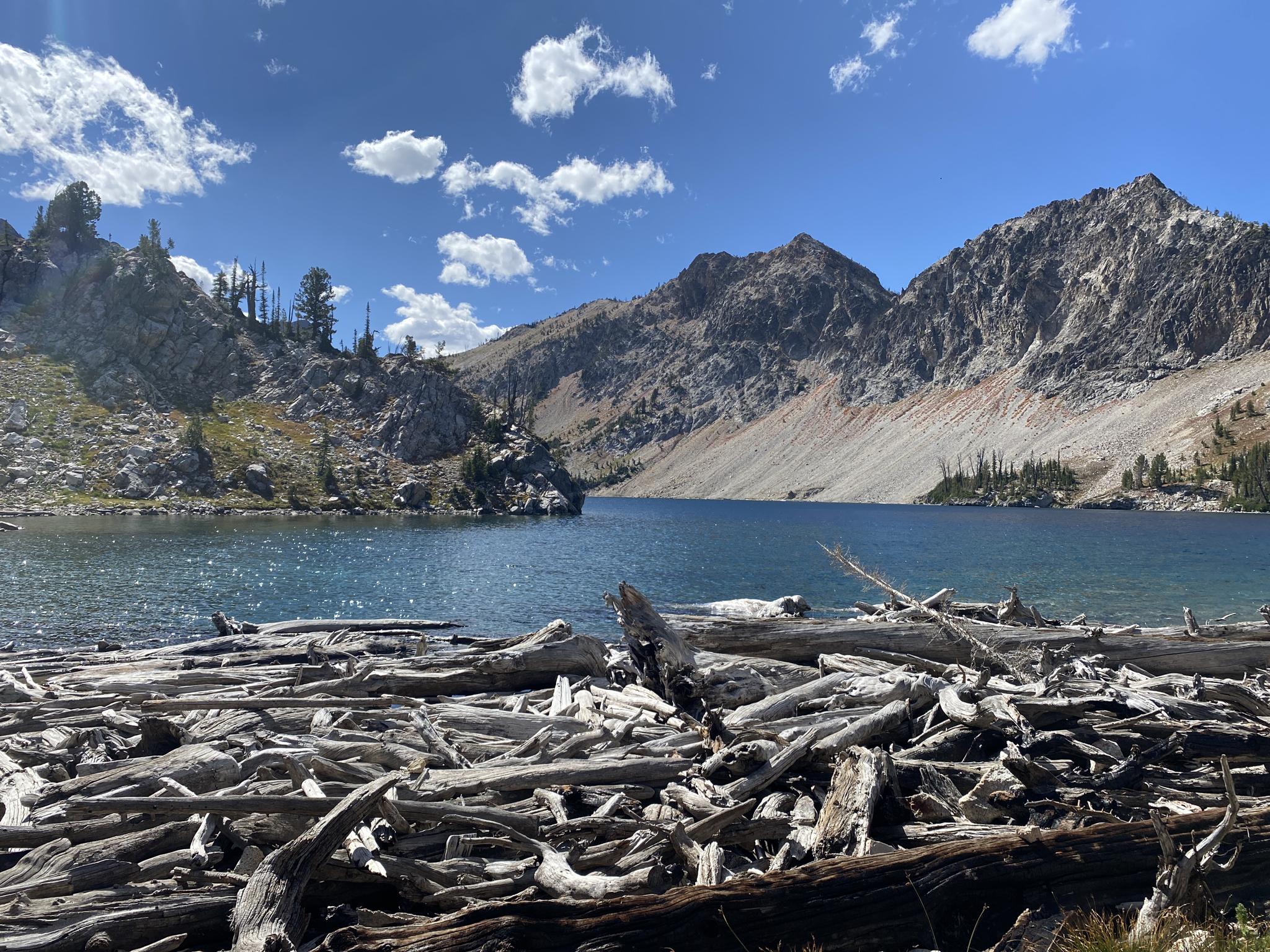 Sunny mountain lake with driftwood in foreground, surrounded by rocky peaks.