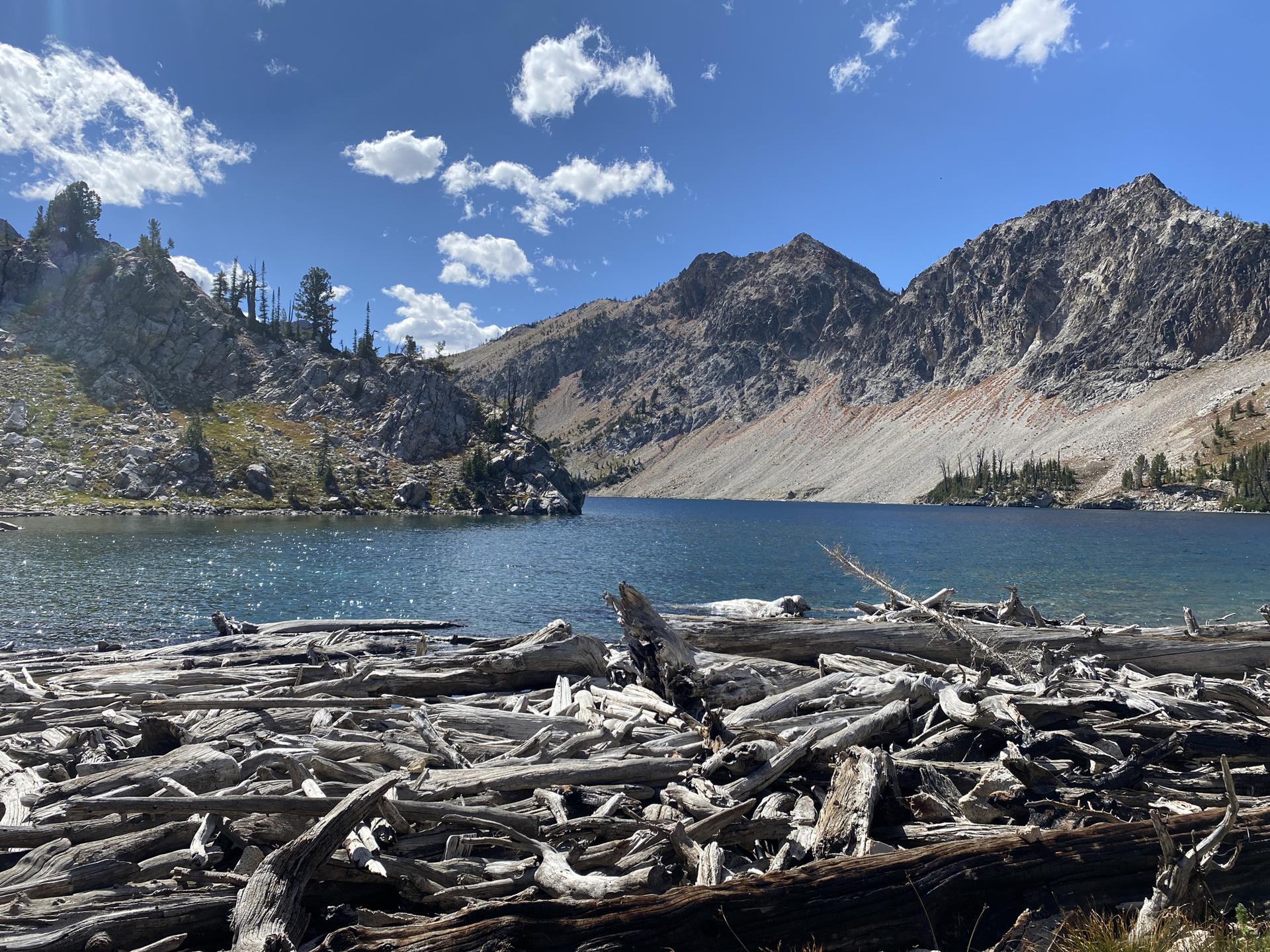 Sunny mountain lake with driftwood in foreground, surrounded by rocky peaks.