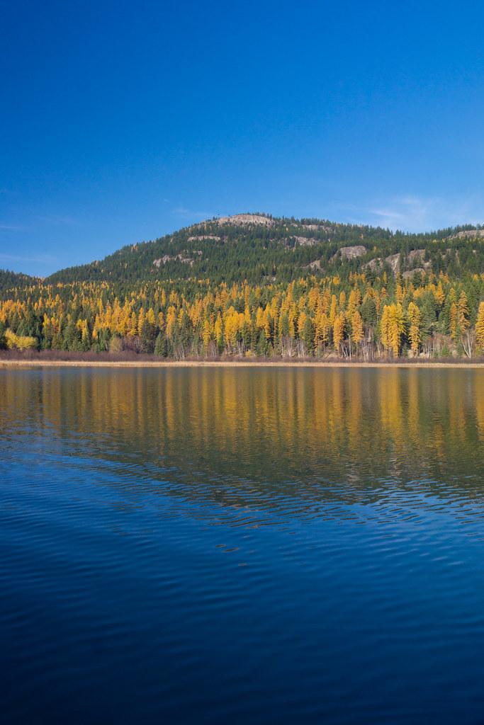 A serene blue lake reflects vibrant autumn trees and a forested mountain.