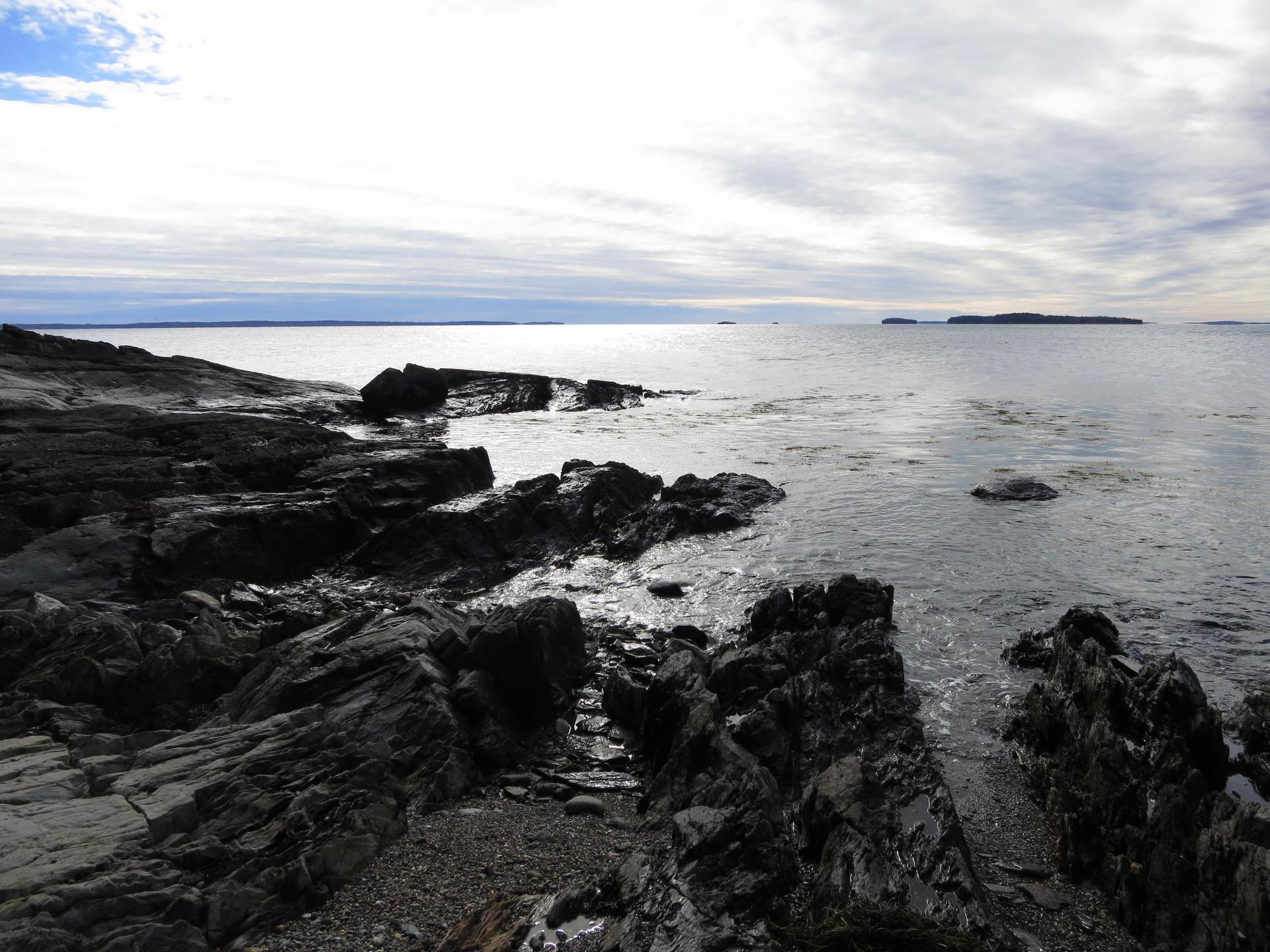 Dark rocky coastline meeting calm ocean water under a cloudy sky.