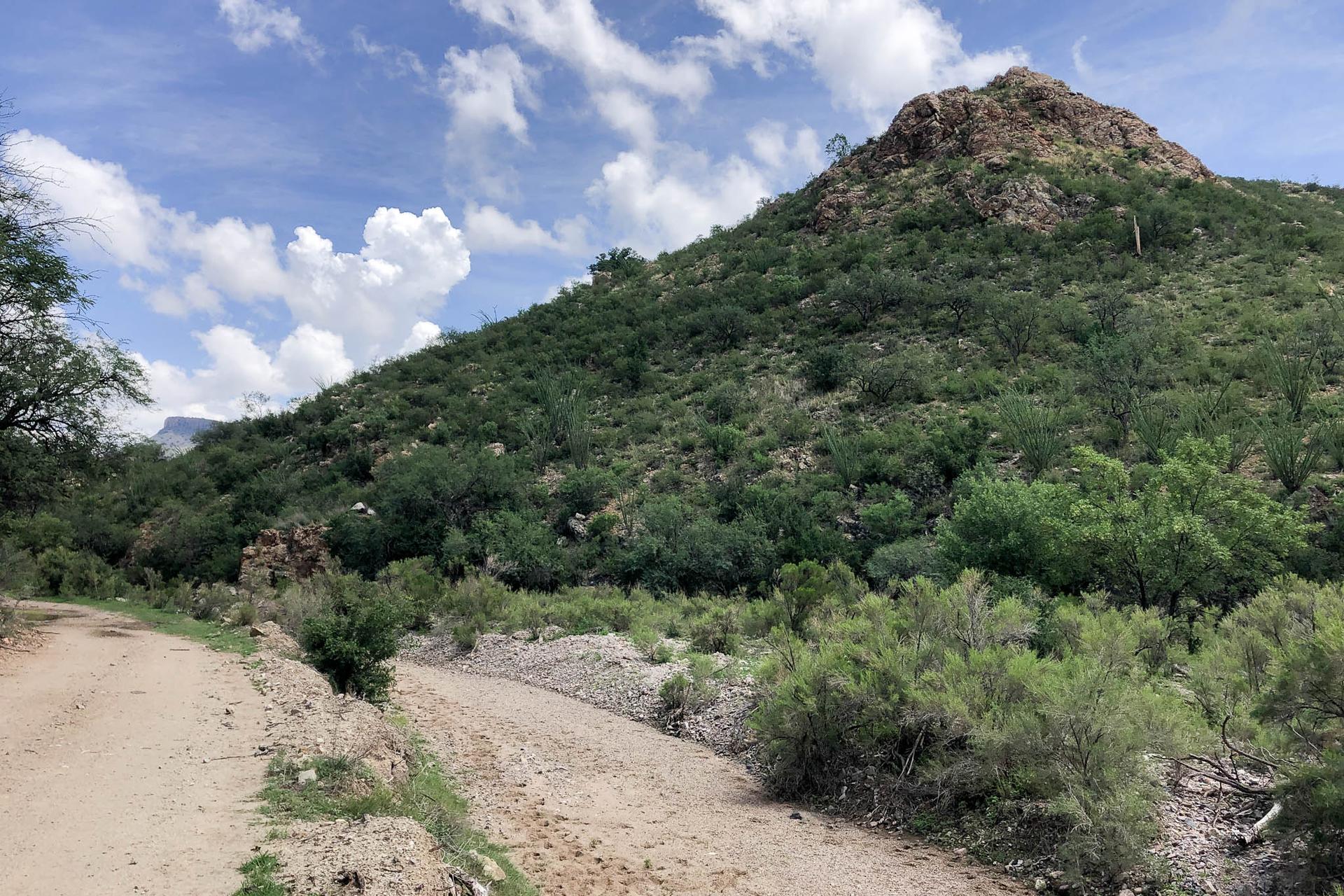 Dirt road and dry riverbed beside a rocky, green mountain under a cloudy sky.