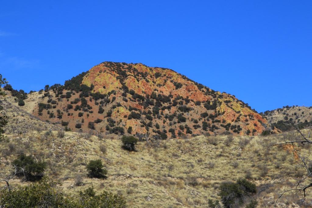 Colorful, rocky mountain peak covered in green shrubs under a clear sky.