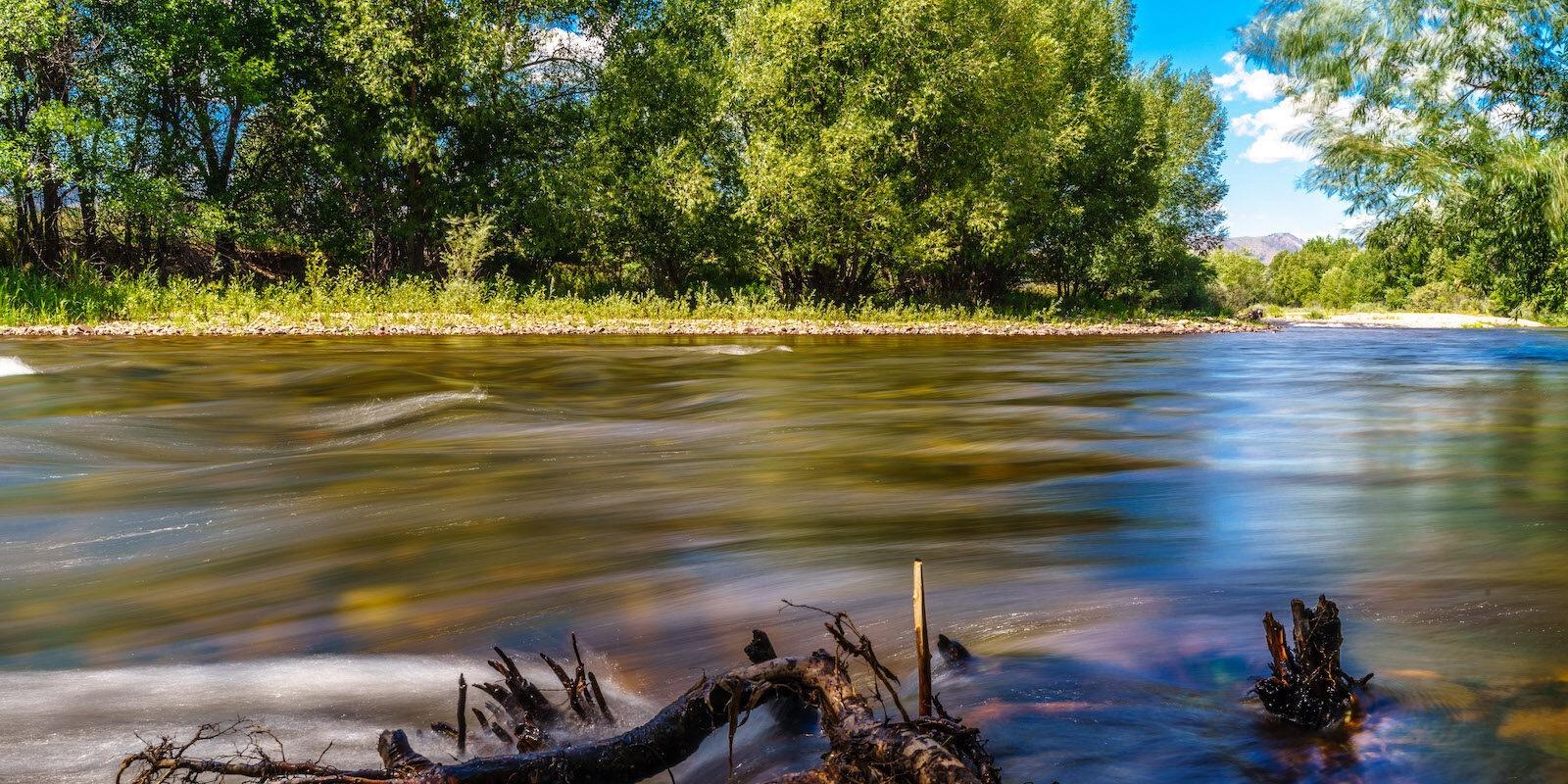 Blurry flowing river with submerged logs and lush green trees on its banks.