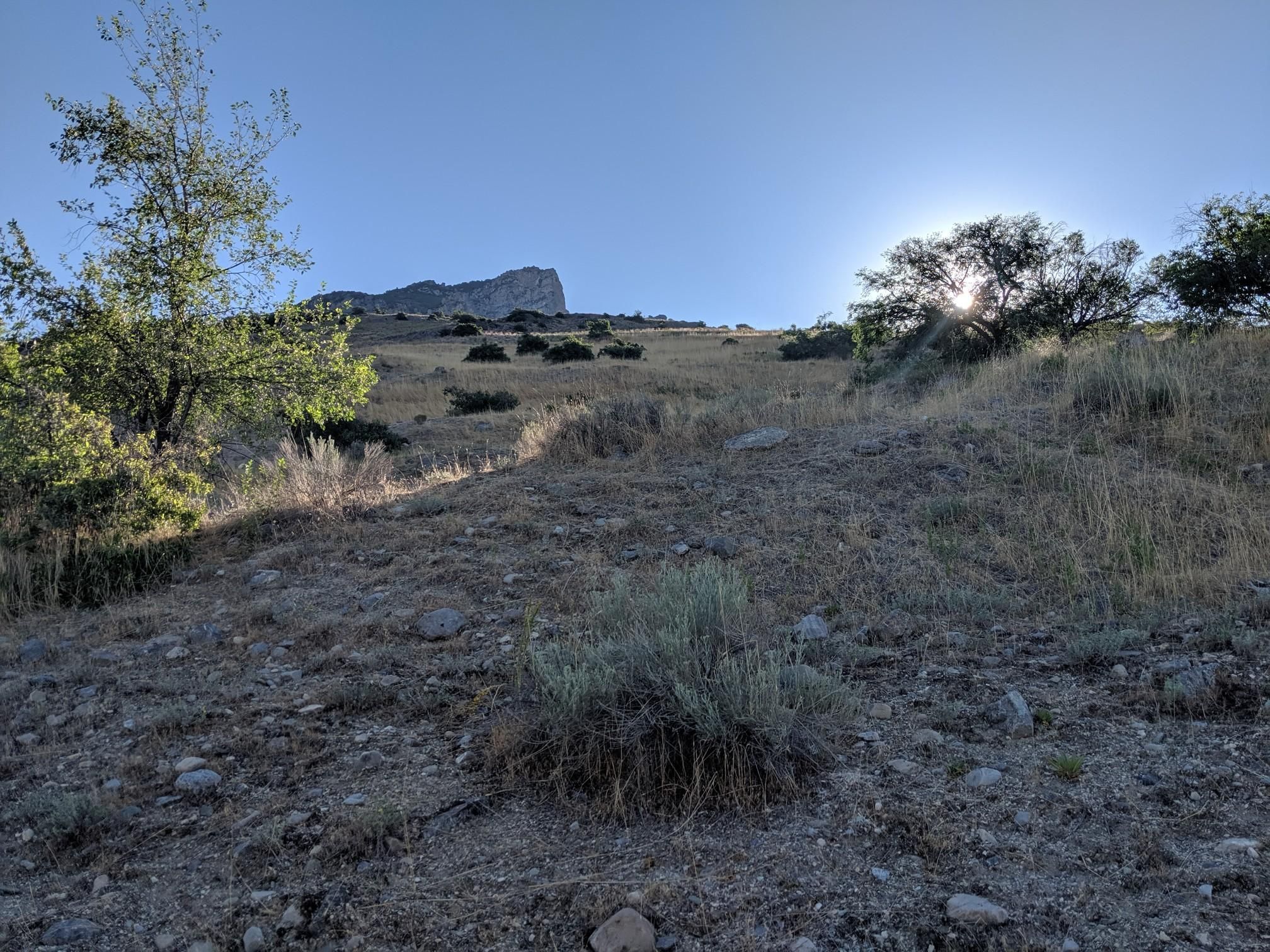 Bright sun peeking through trees on a dry, grassy hillside with a distant mountain. - Slate Canyon Park loop