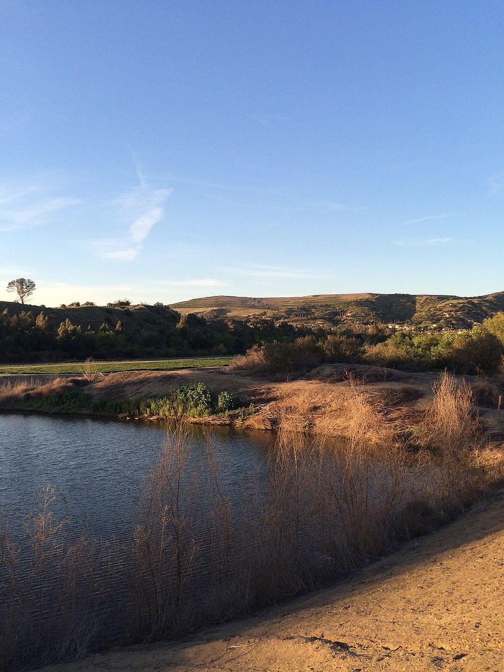 A calm lake with dry reeds in the foreground, hills in the distance.