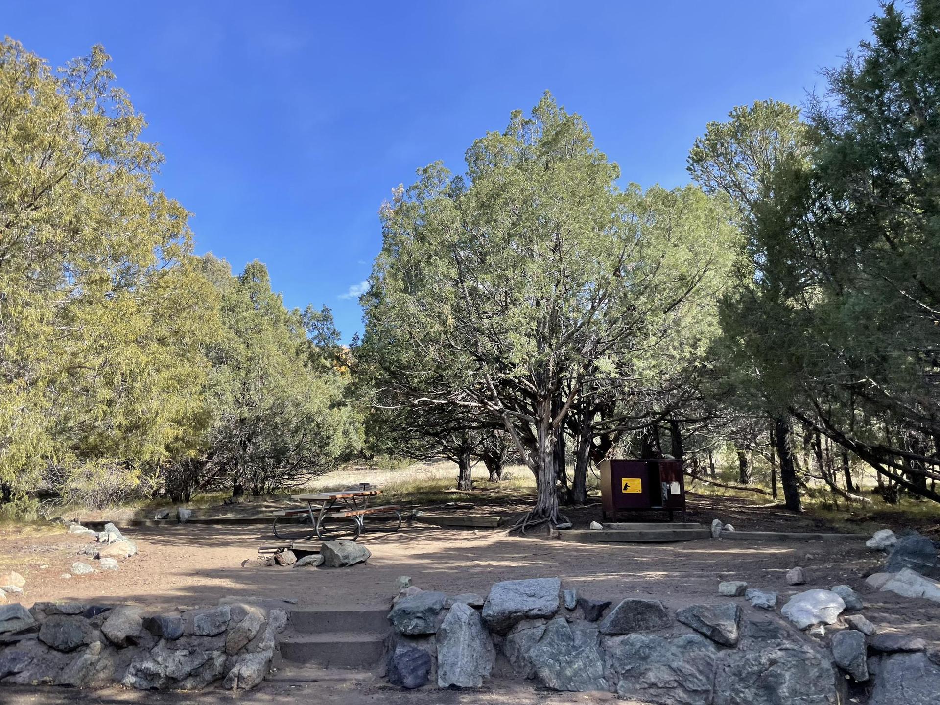 Shaded campsite with a brown shelter and stone wall under a clear sky.