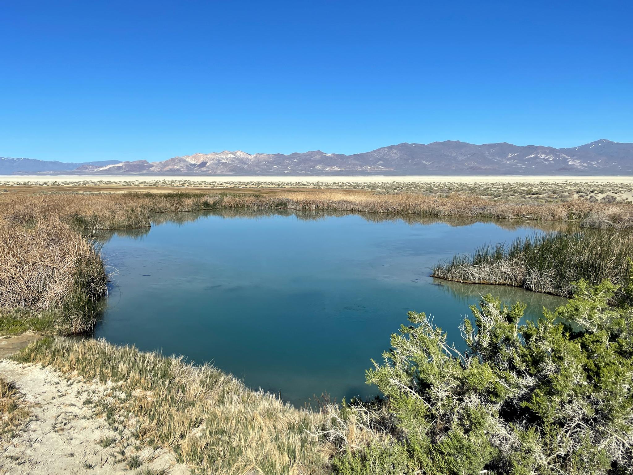 Bright pond surrounded by dry reeds, with distant mountains under clear sky.