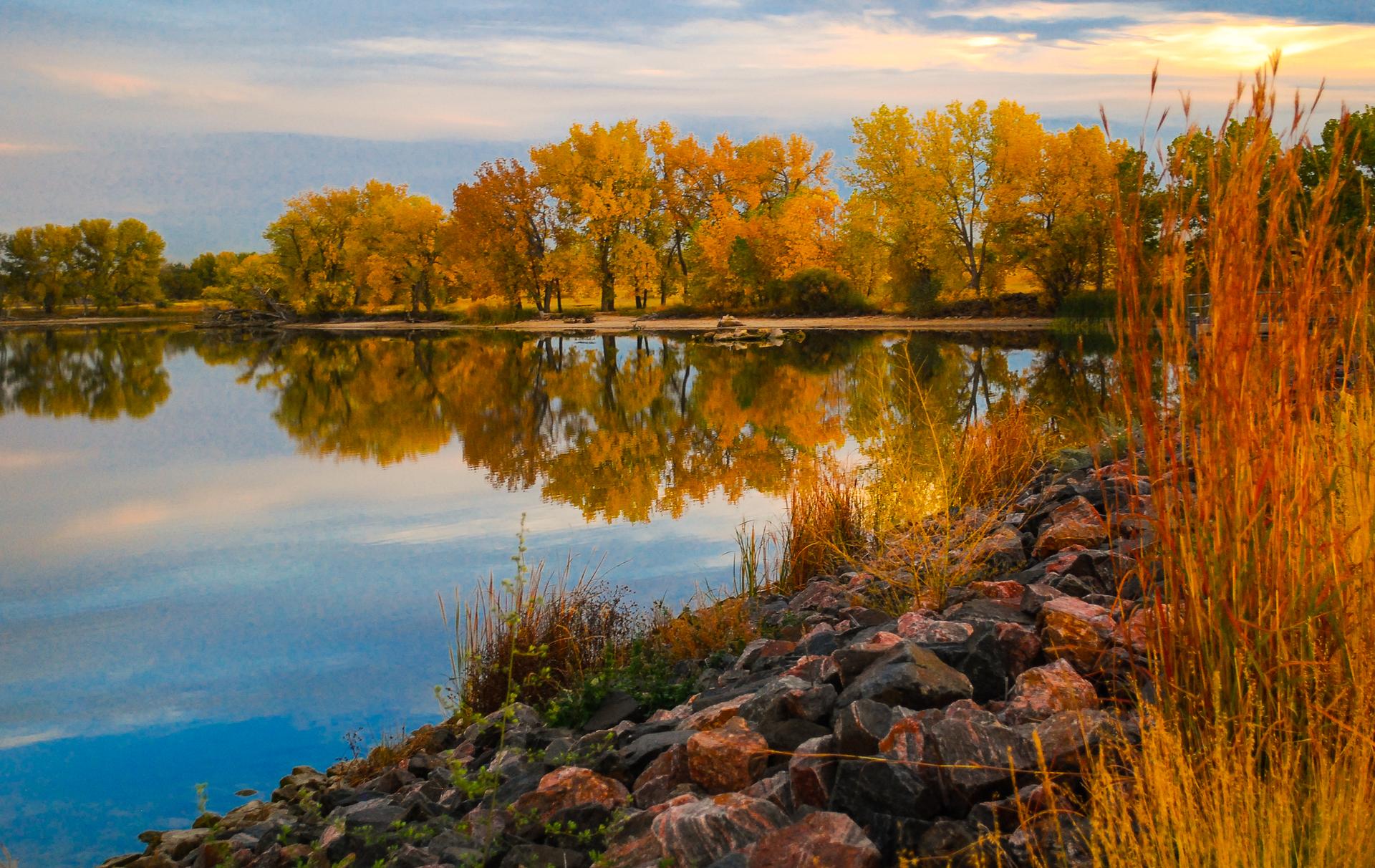 Golden autumn trees reflected in a calm lake at sunset, with rocky shore.