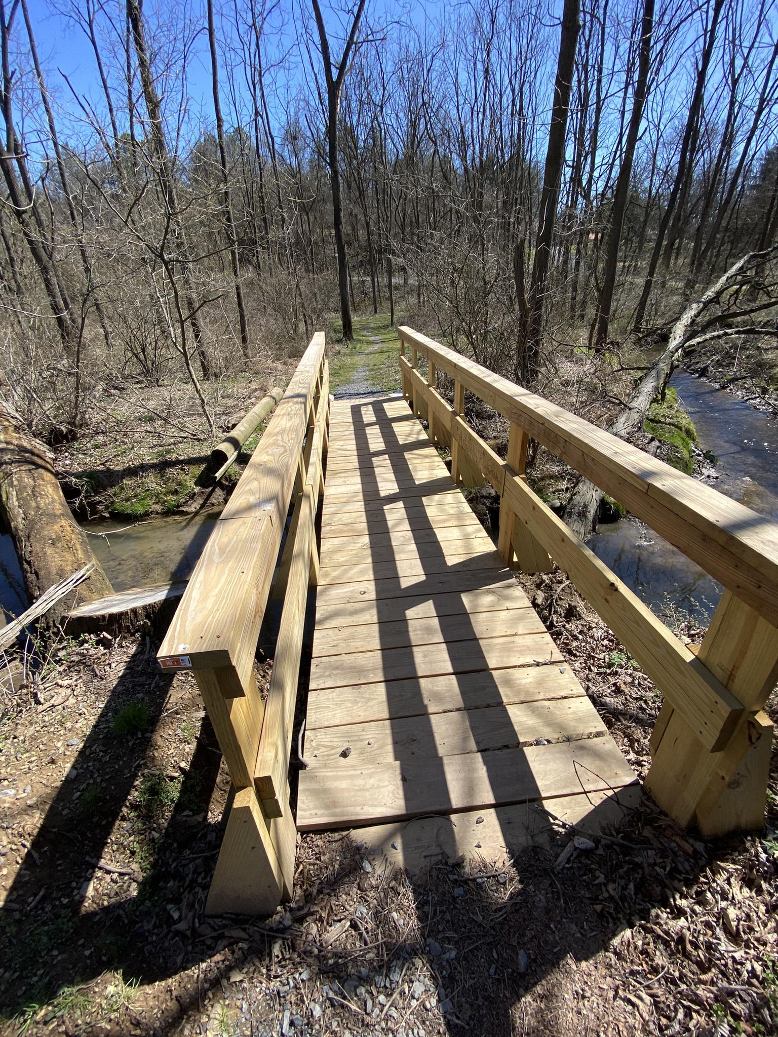 A new wooden footbridge crosses a small stream in a sunny, bare forest.