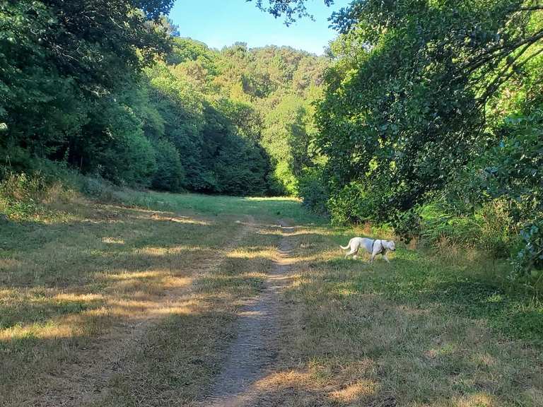 Circuit de rocs de Gascaigne et l'étang de la vallée — boucle depuis ...