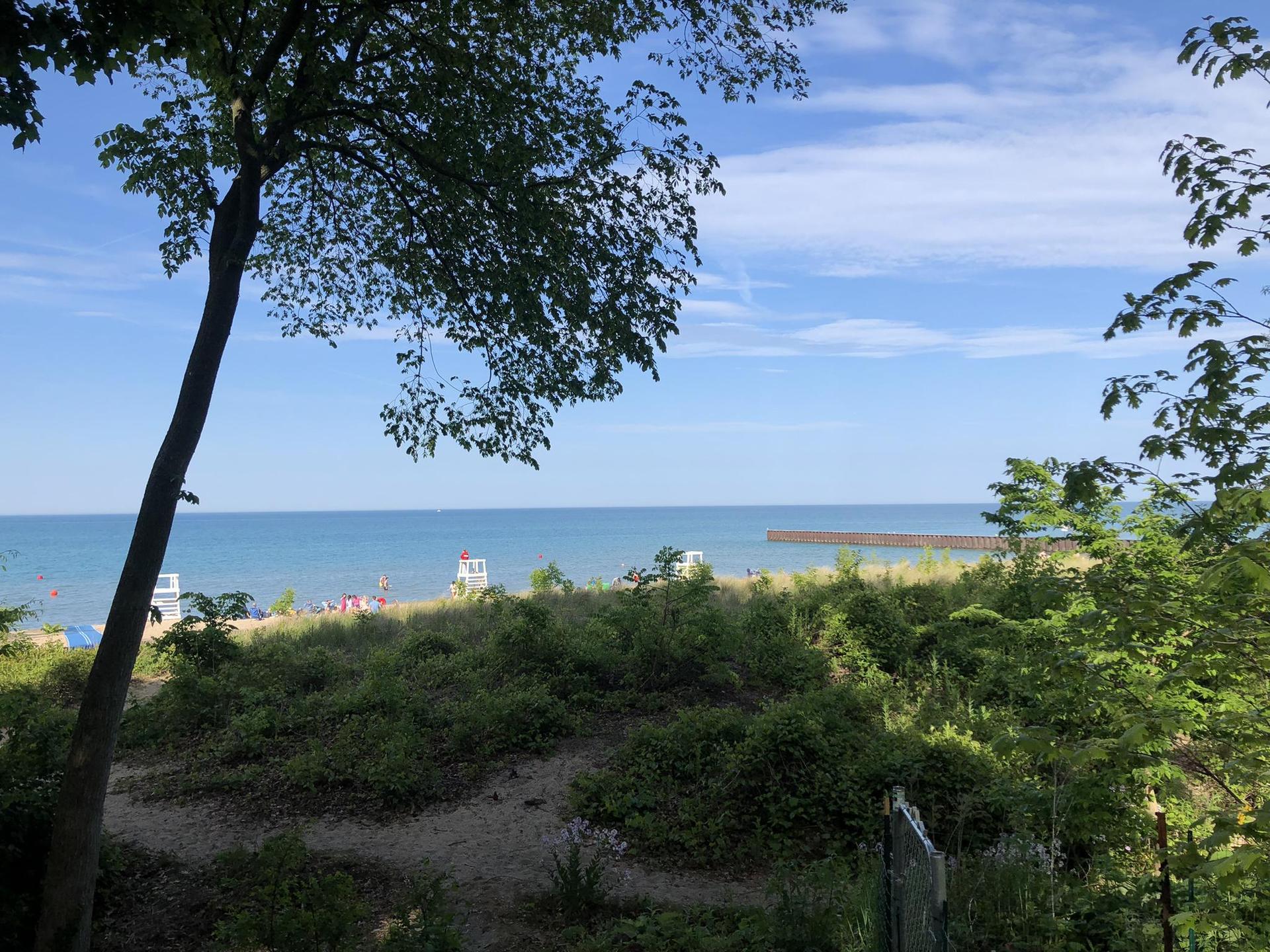 A sunny beach and ocean seen through green trees and bushes.