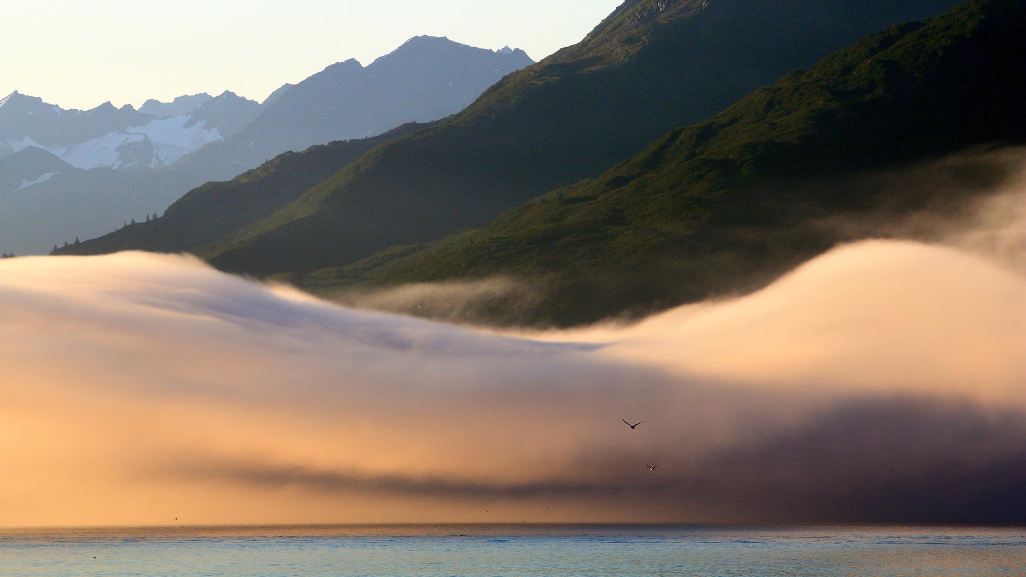 Golden fog rolls over calm water with dark mountains in soft light.