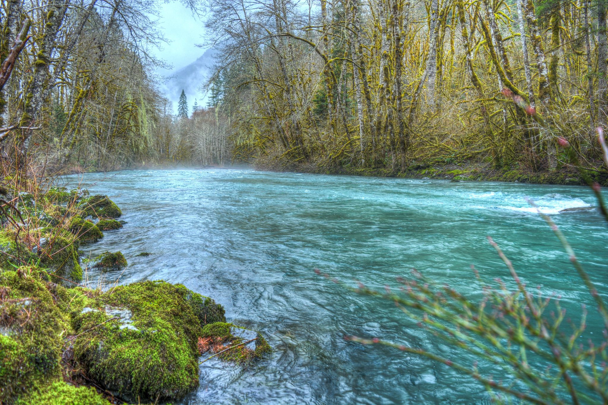 Turquoise river flowing through a mossy, misty forest landscape. - West Fork Dosewallips River Trail