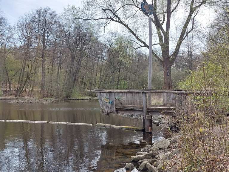 Steinbrücker Teich Wanderungen und Rundwege komoot