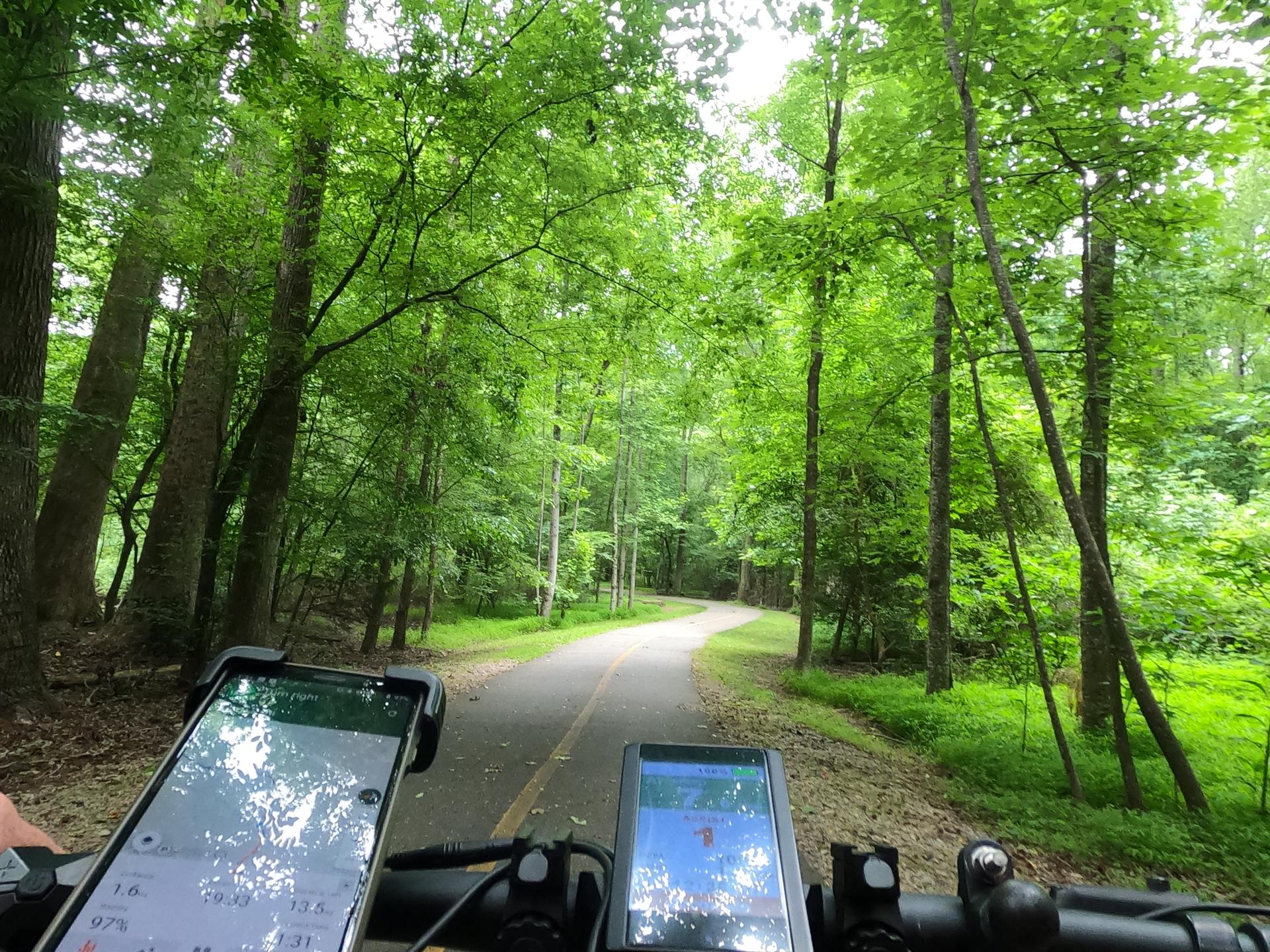 POV from a bicycle on a paved path through a lush green forest.